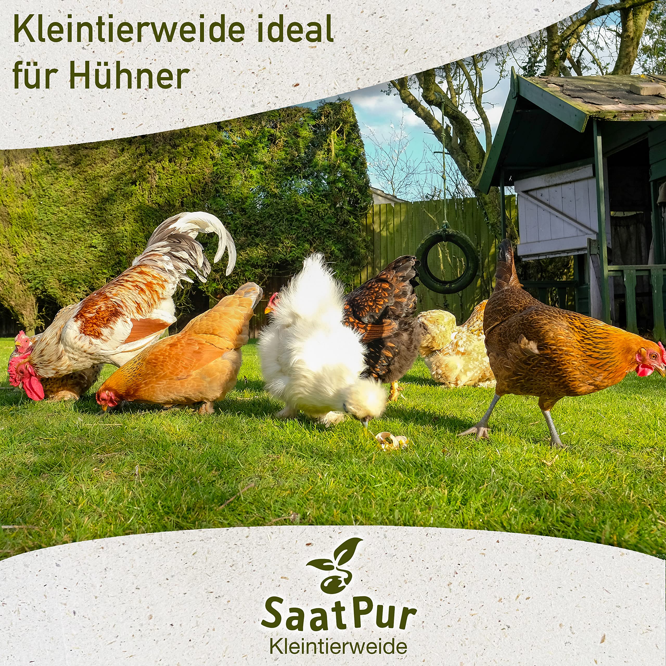 Kleintiereinsaat-Mischung 10kg Weidegras Gras - Hühnerfreilauf Entenwiese Hasen Ziegen Ziervögel Weidesamen Grassamen Grünland Saatgut Nachsaat