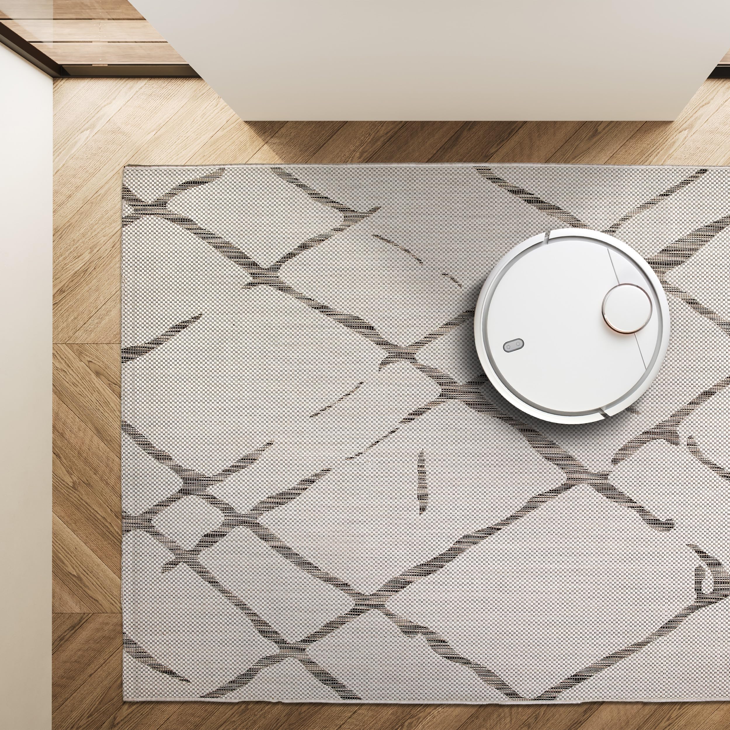 Astra Tapis d'extérieur résistant aux intempéries - Tissu Plat spécial pour l'extérieur et l'intérieur - Designs Uniques - Tapis Robuste Rayons Beige, 80 x 200 cm