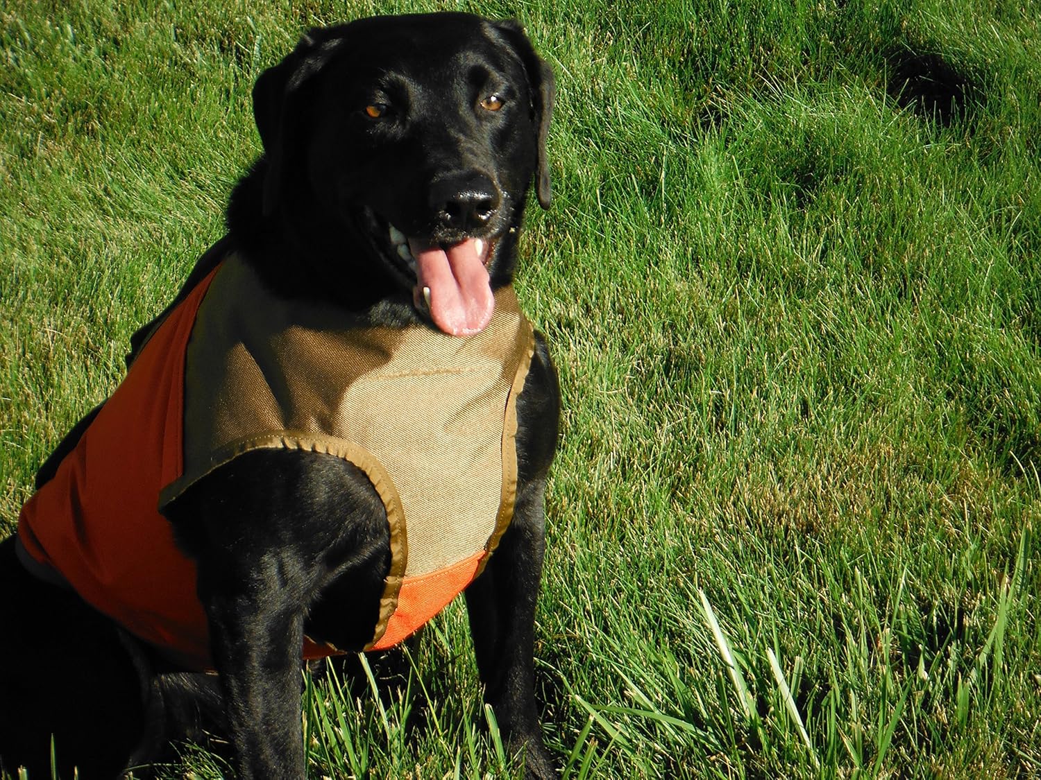 CUGA Vest Serious Protection for The Active Dog (SML, Orange/Coyote)