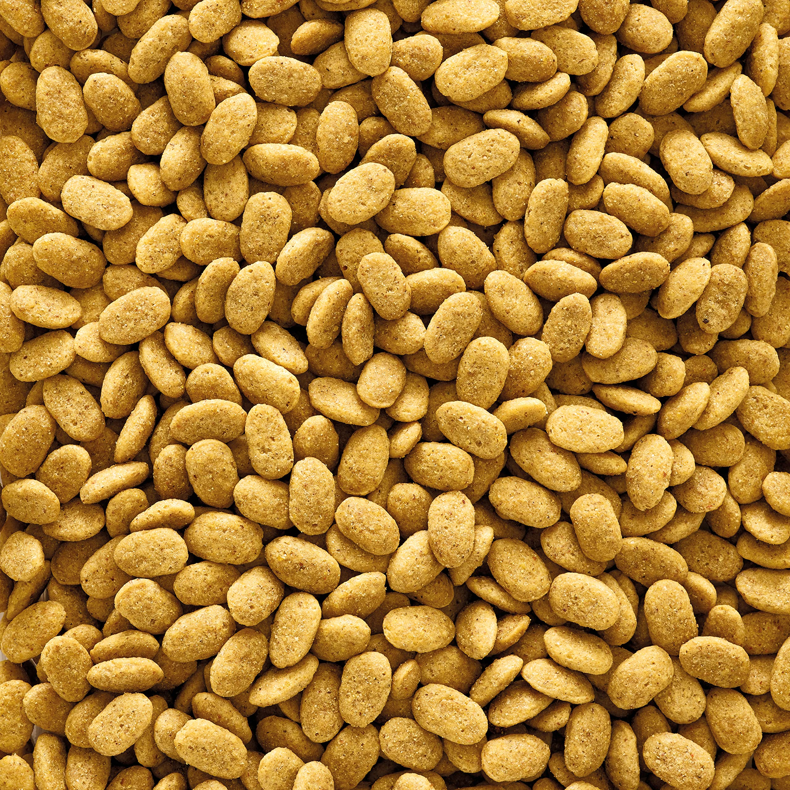 VERSELE-LAGA NutriBird P15 Original Granulés Extrudés Aliment Perroquet 10kg