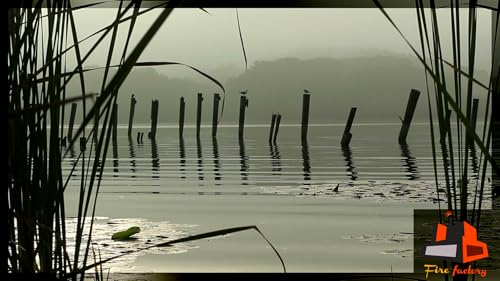 Lonely Lake - Calm Lakeside View