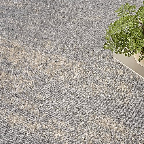 Vista 85 de Nourison Home Essentials - Alfombra moderna de 5 x 7 pies, gris/beige