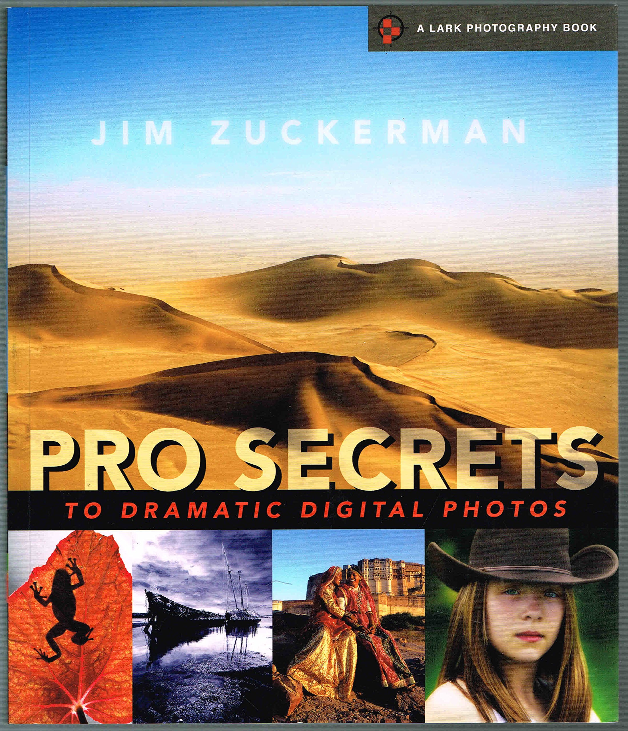 Pro Secrets to Dramatic Digital Photos (A Lark Photography Book) Paperback – November 1, 2010