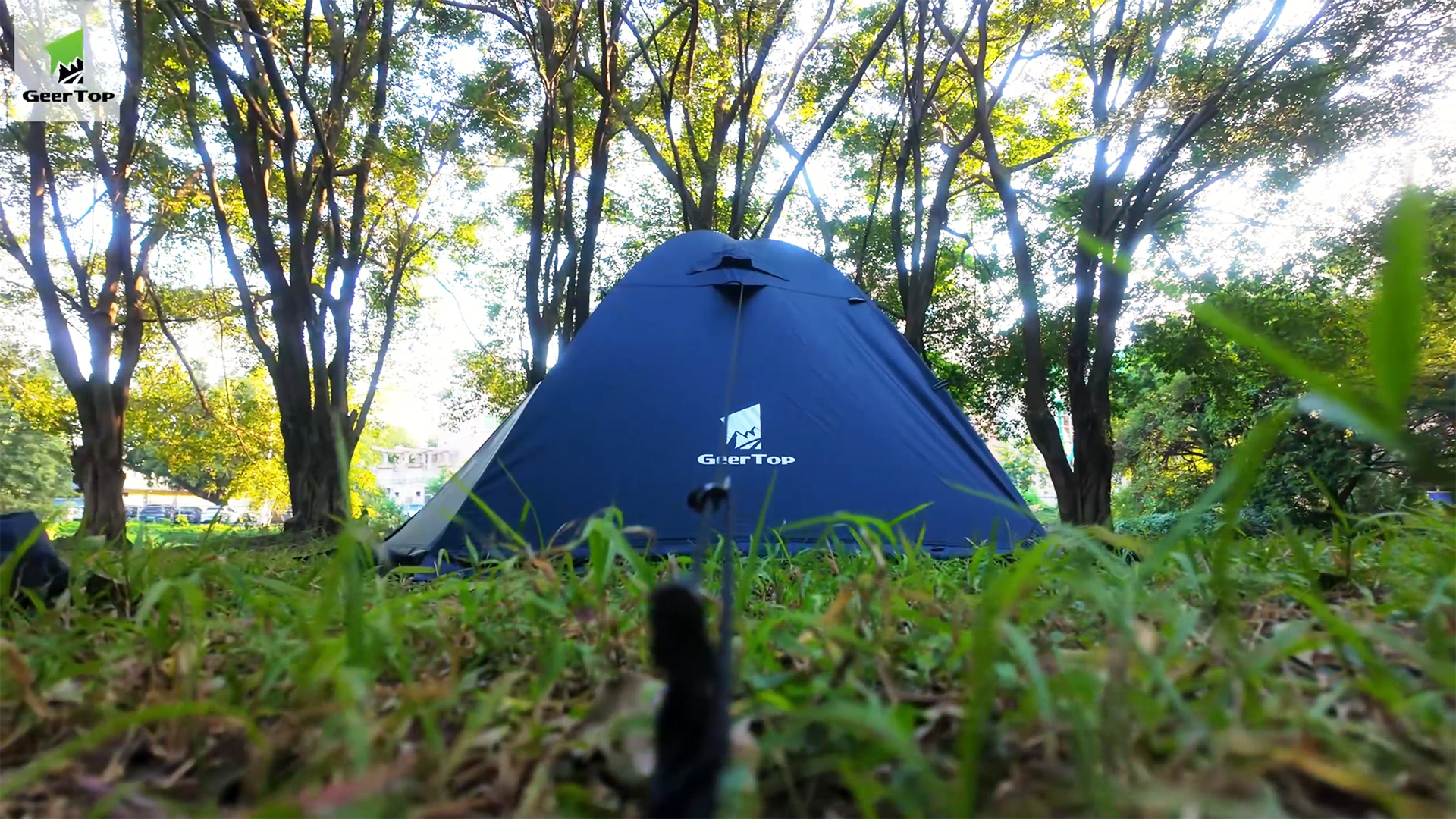 Amazon.co.jp: Geer Top: テント