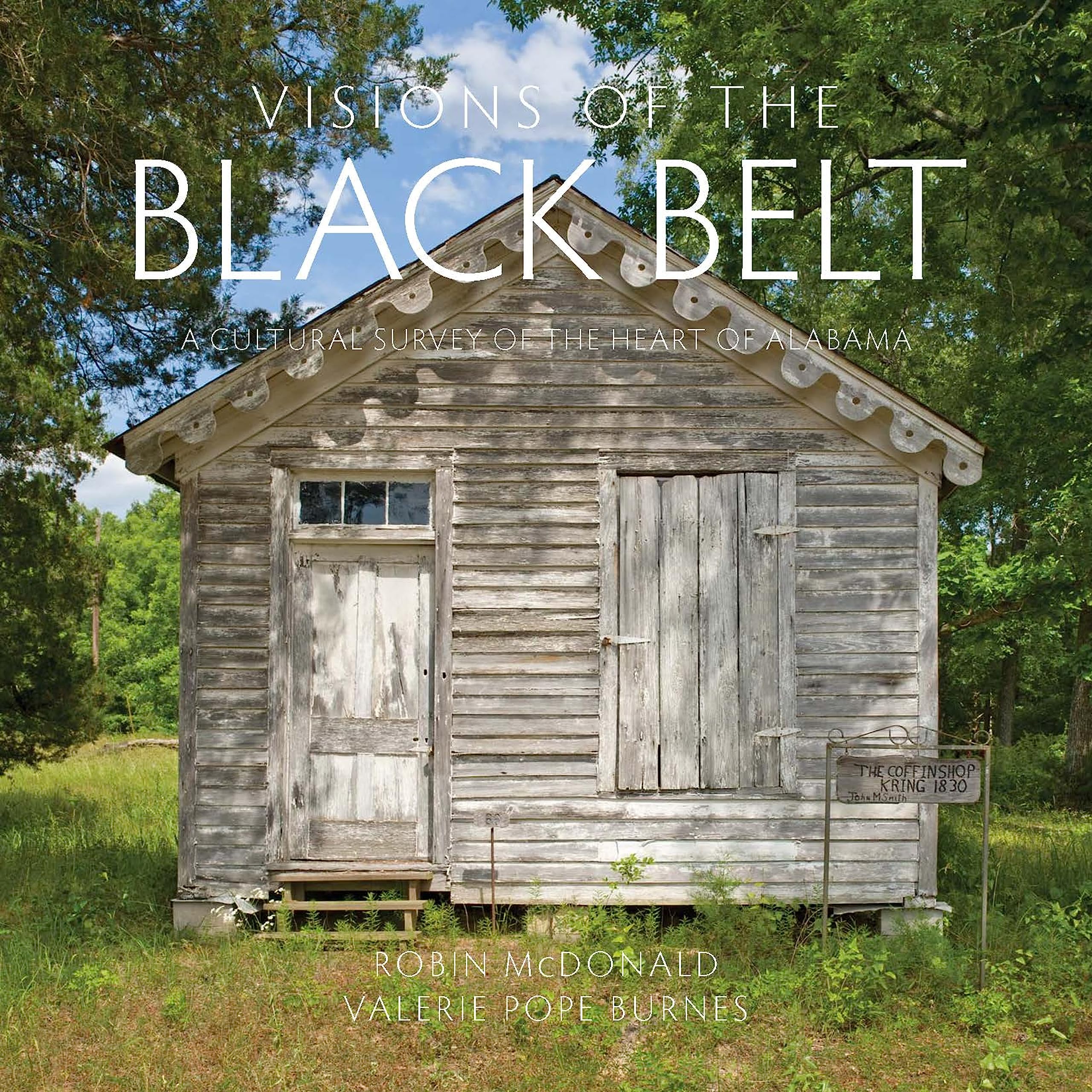 Livre Visions of the Black Belt Alabama Cultural Survey ouvrage anglais