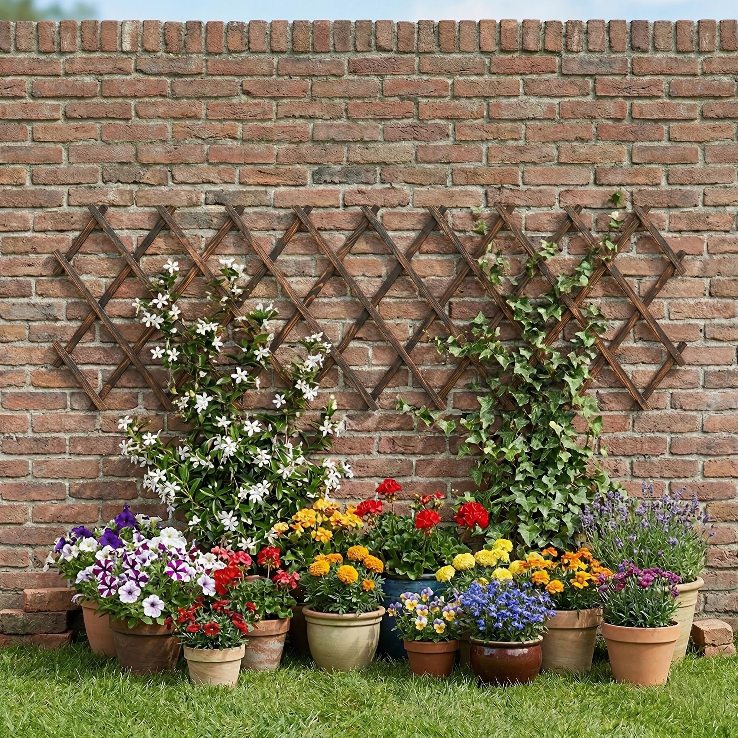 Relaxdays Treillis Extensible, Lot de 3, 270 x 45 cm, Bois brûlé, Fixation Murale, pour Plantes grimpantes