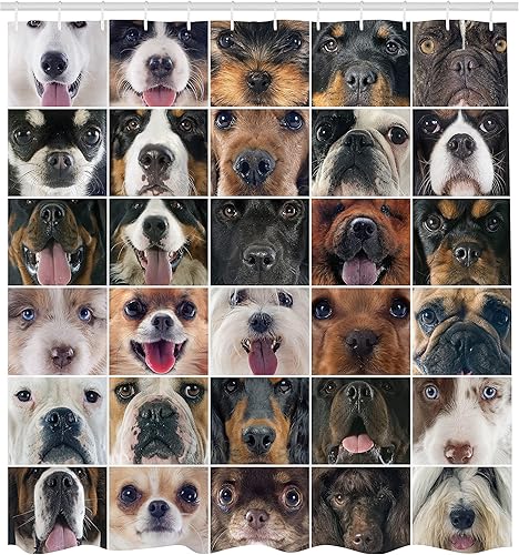 Miniatura 2 de Ambesonne Cortina de ducha para amantes de los perros, diseño de cachorros divertidos en un estudio, chihuahua chow chow cocker spaniel caniche y