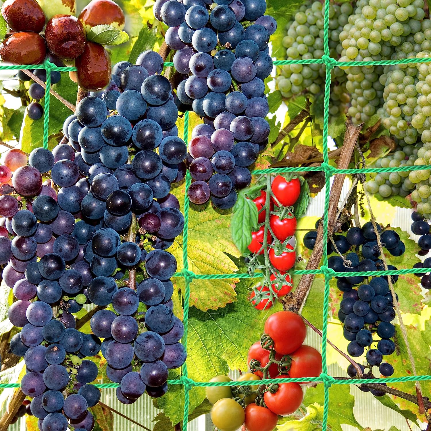 Plant Trellis Netting for Climbing Plants Outdoor Heavy