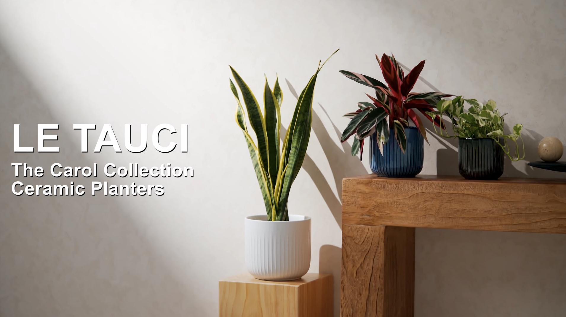 Amazon.com : LE TAUCI Fluted Ceramic Planters Set of 3 – 8.3