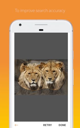 Capture Search - Reverse Image Search