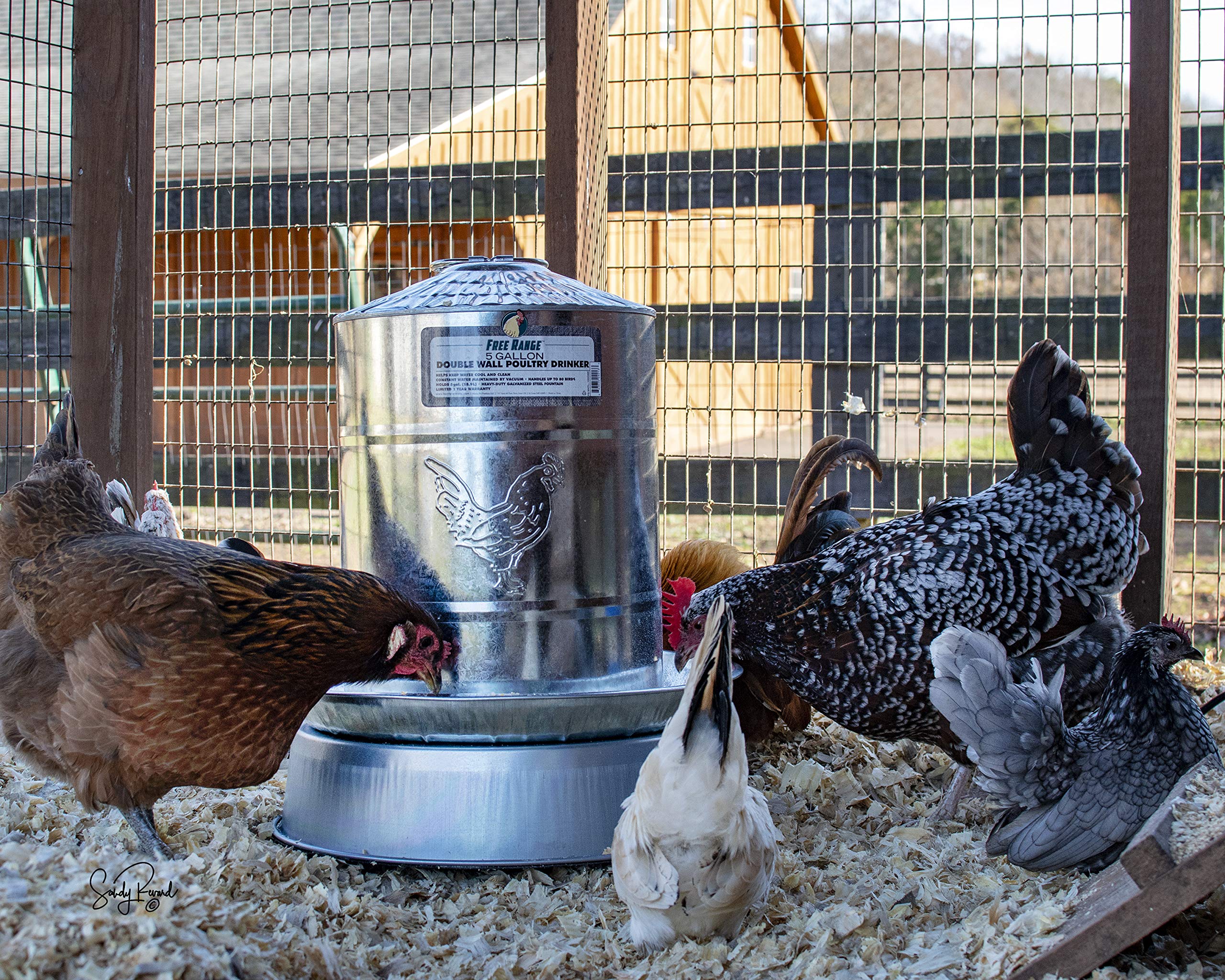 Harris Farms 01236 - Base para Bebedero de Aves de Corral