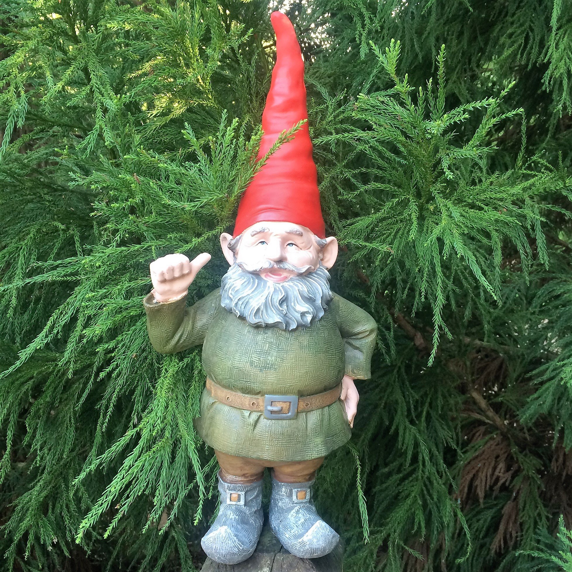 Amazon.com: Gnomes of Toad Hollow -
