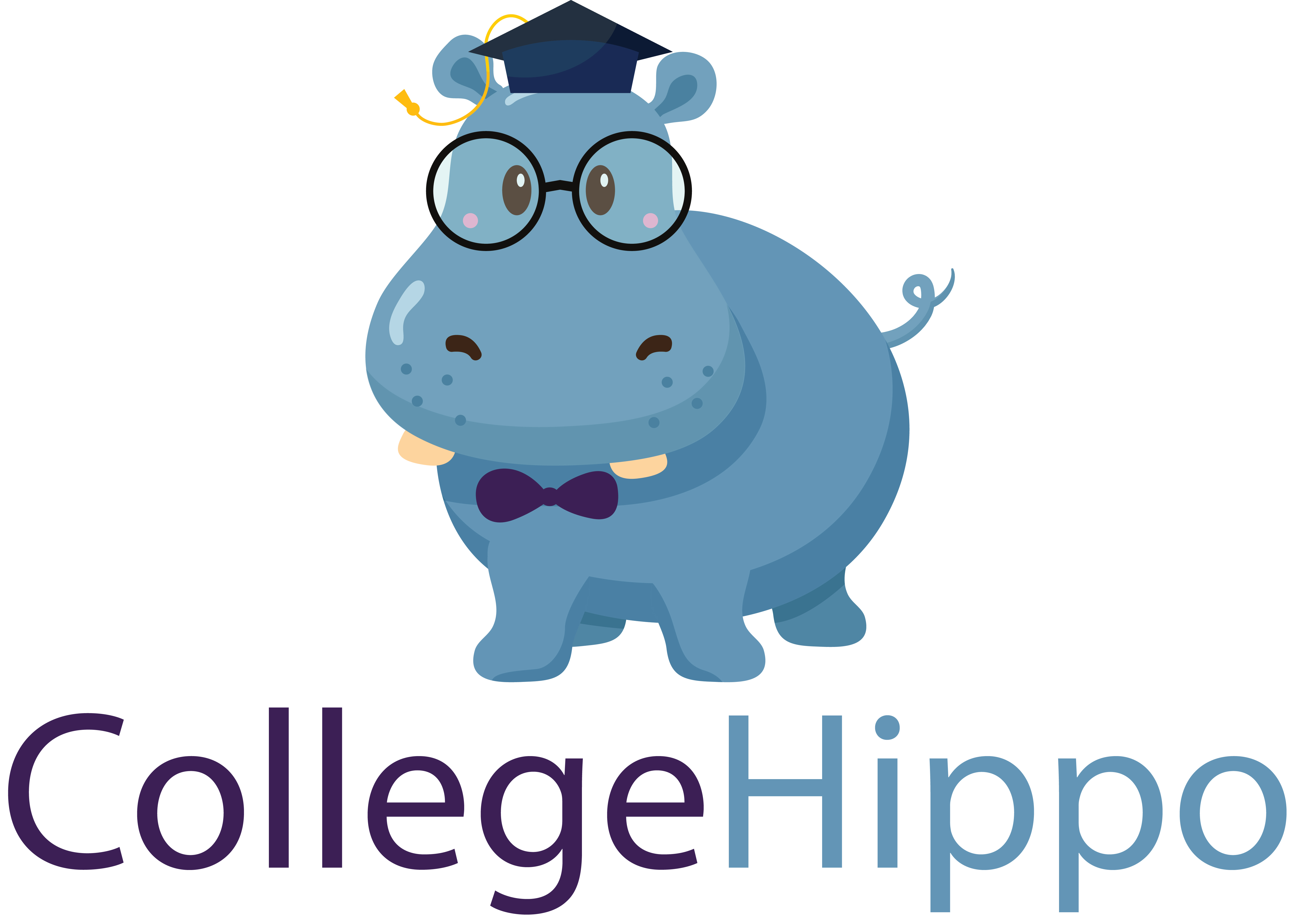 Dog Graduation Cap And Gown Amazon informacionpublica.svet.gob.gt