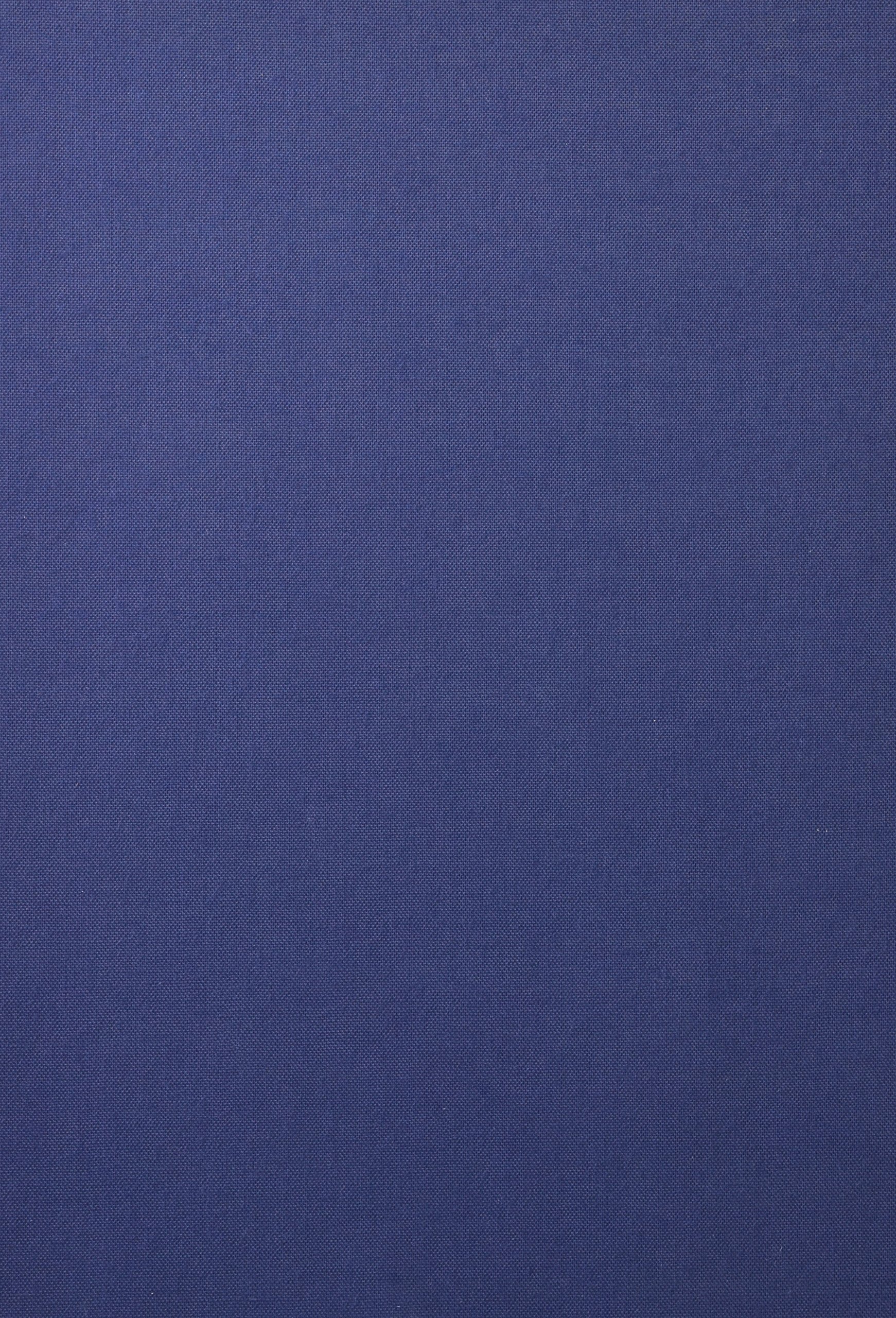 Amazon.co.jp: 日本書画骨董大辞典 復刻 (辞典叢書 16) : 池田 常太郎