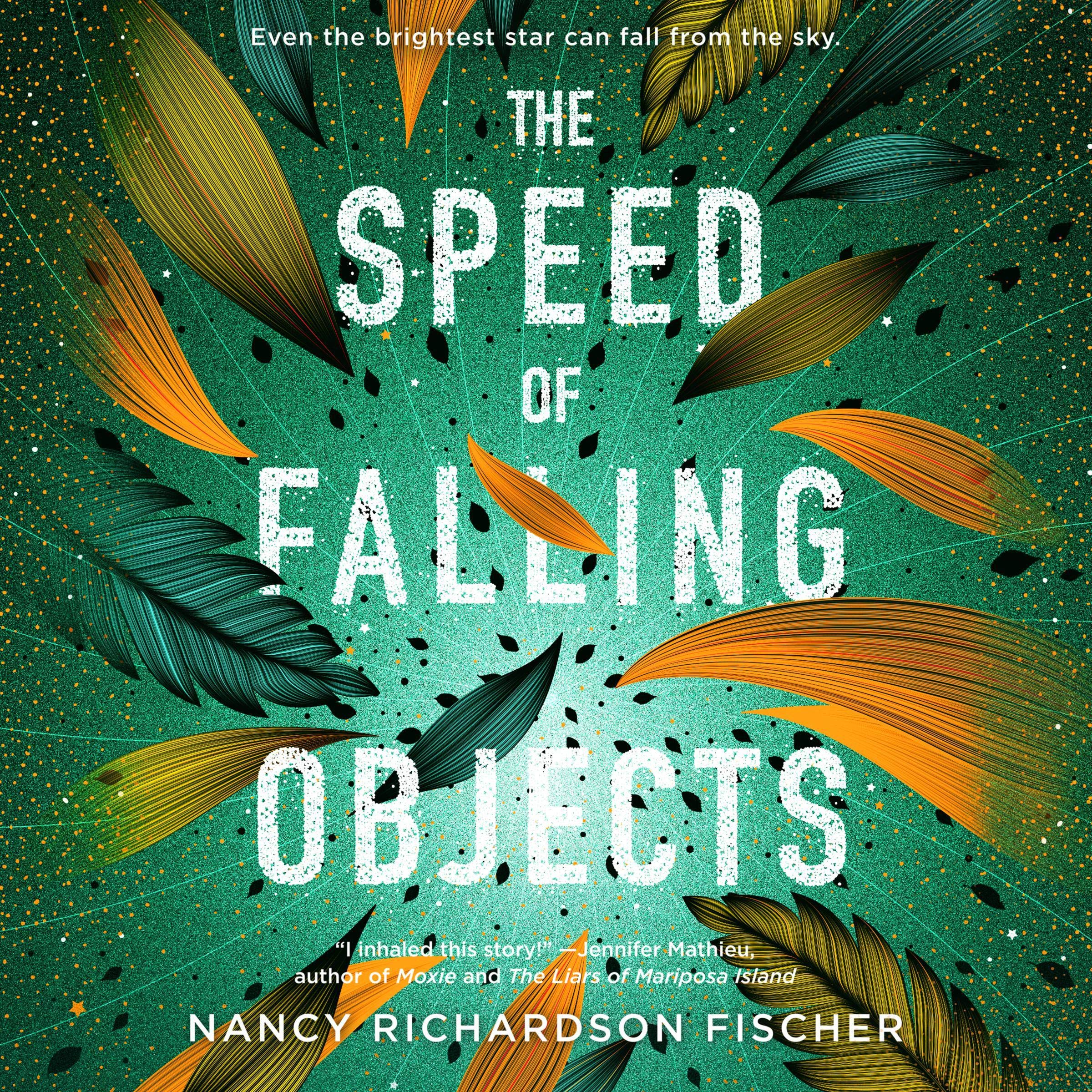 Cover art for The Speed of Falling Objects