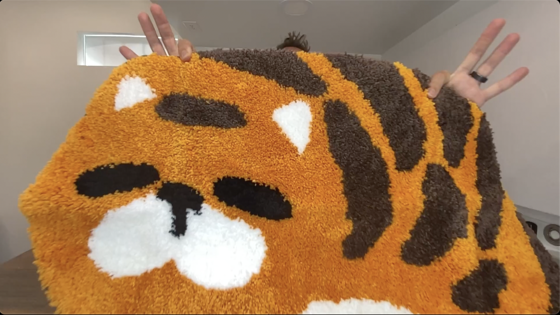 BEST Foot Mat for Bathroom? | Non-Slip Soft Cat Bath Mats