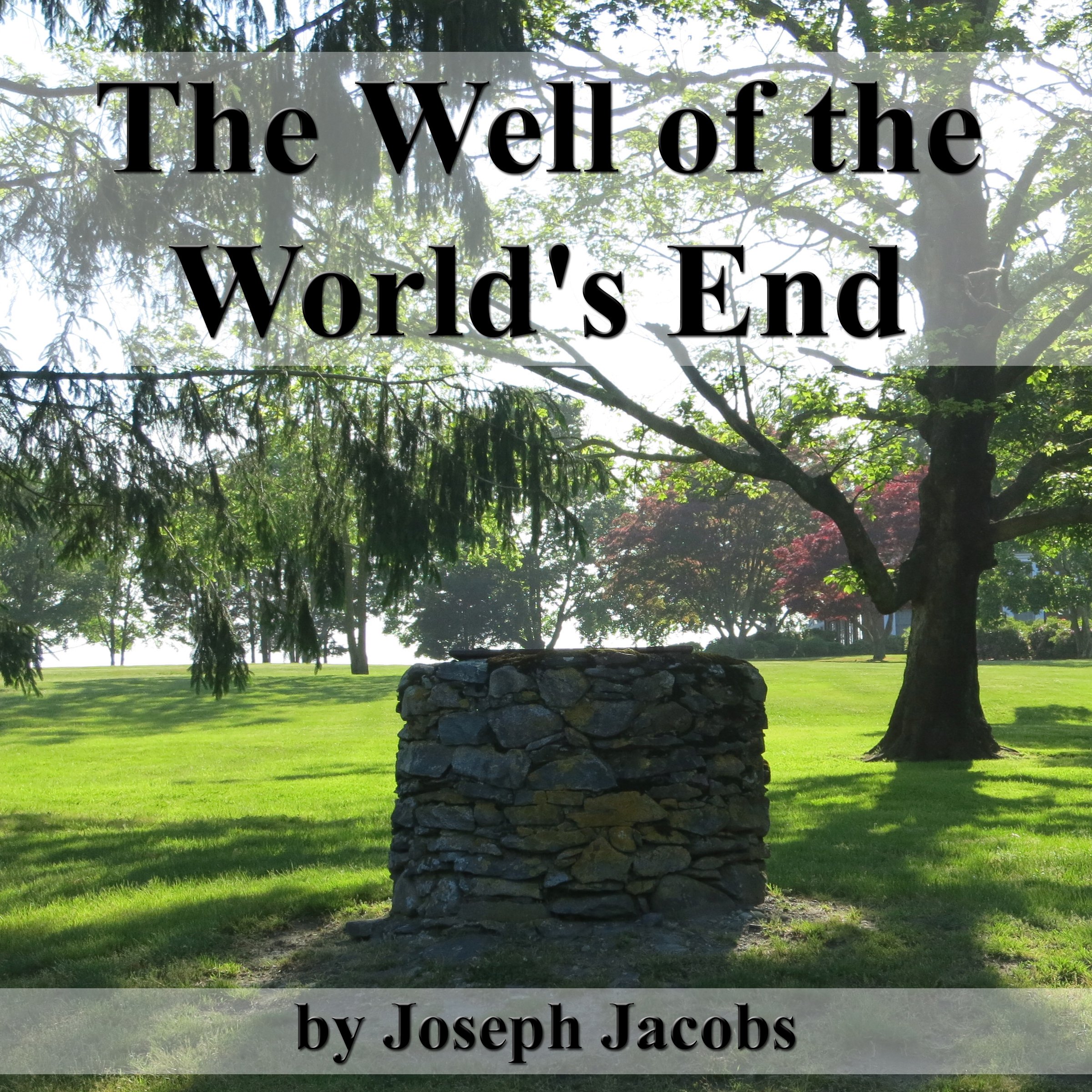 Cover art for The Well of the World's End