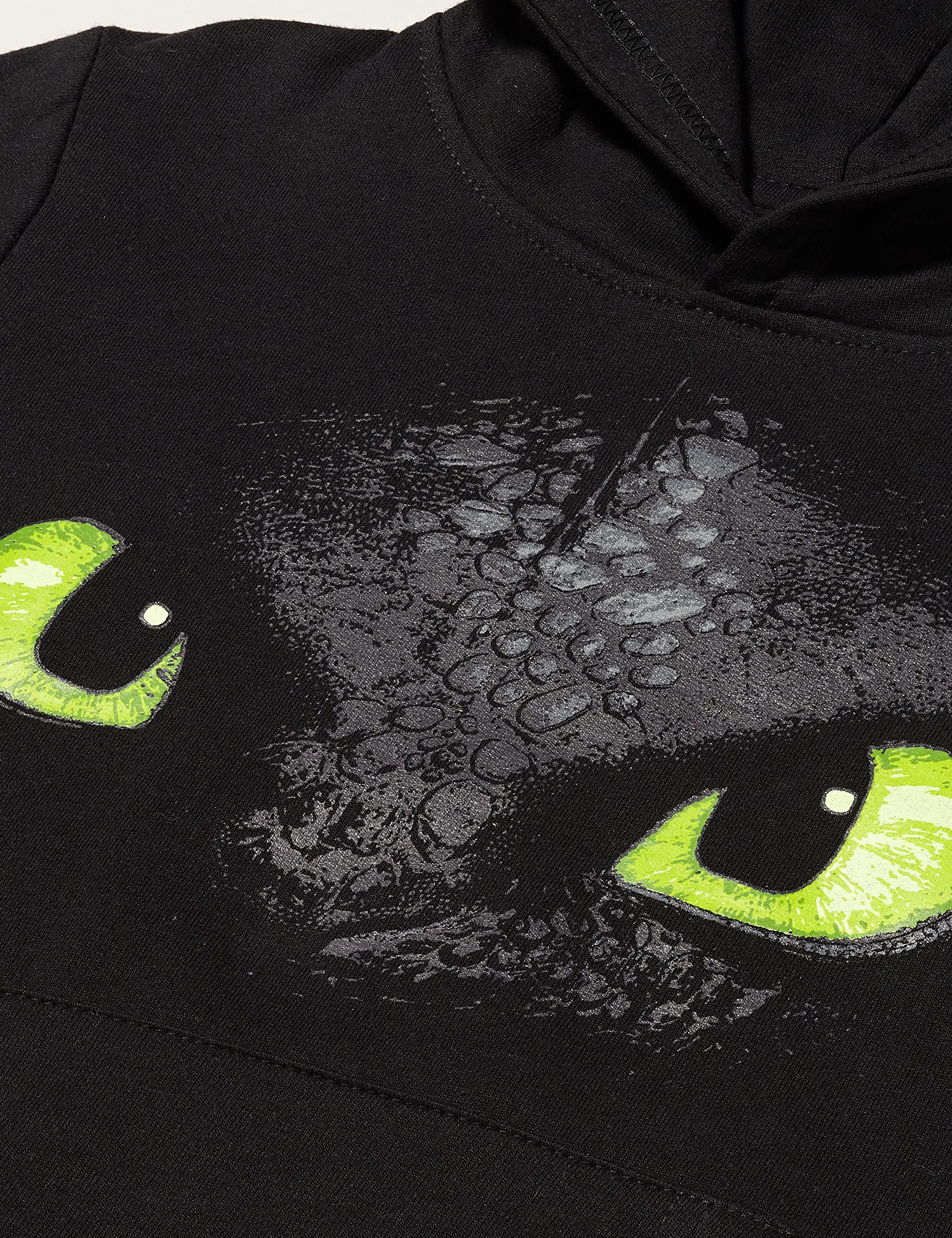 Dragons DreamWorks Hoodie Felpa con Cappuccio Unisex-Bambini
