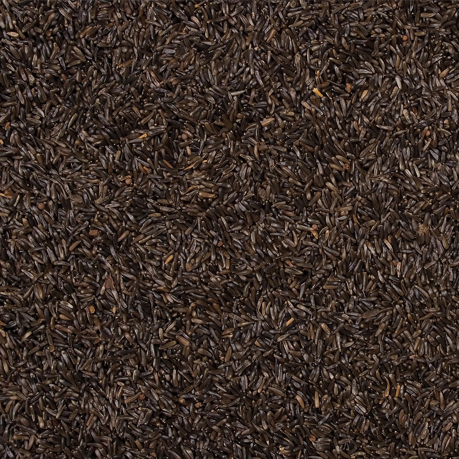 Wild Delight Nyjer Seed, 5 lb