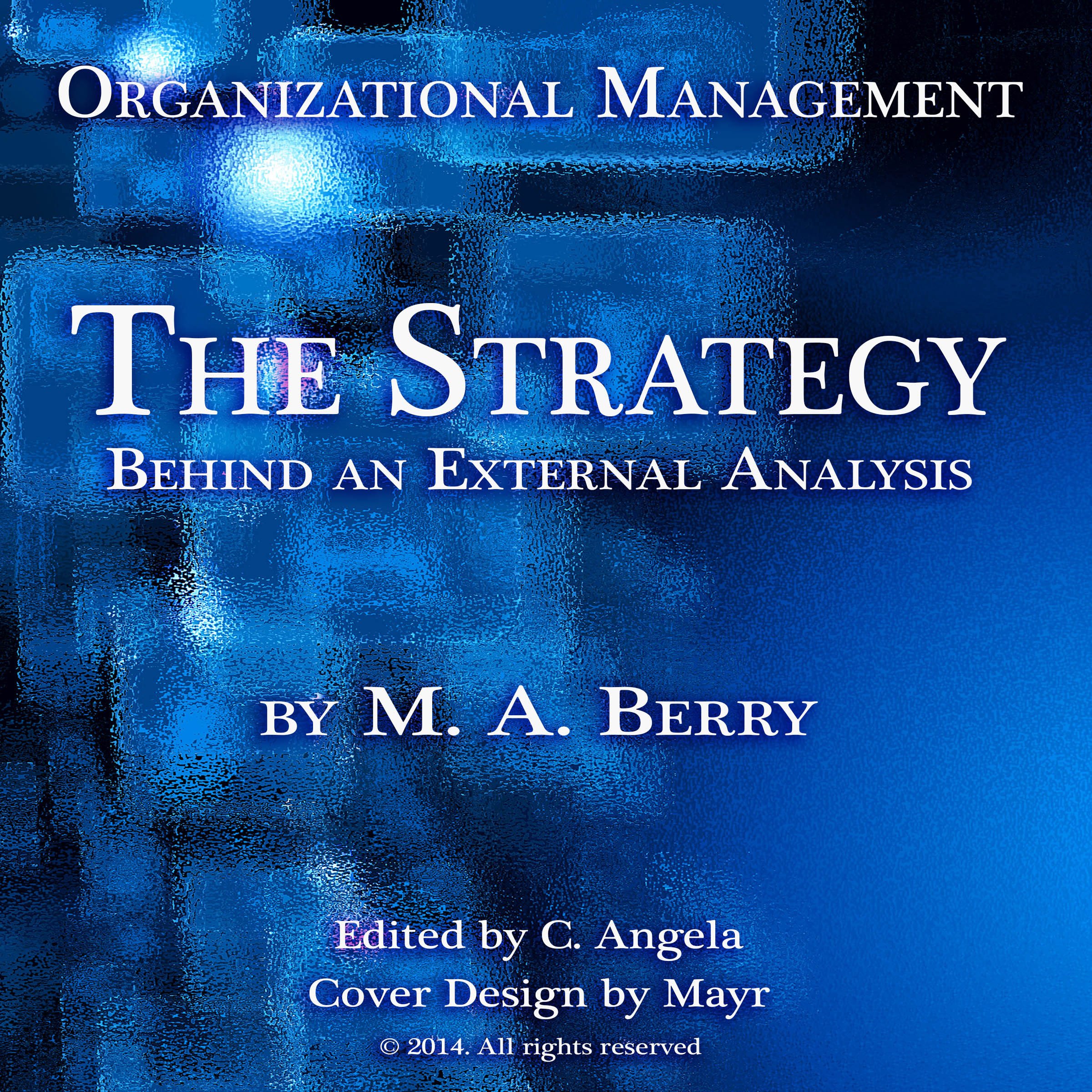 Organizational Management: The Strategy Behind an External Analysis
