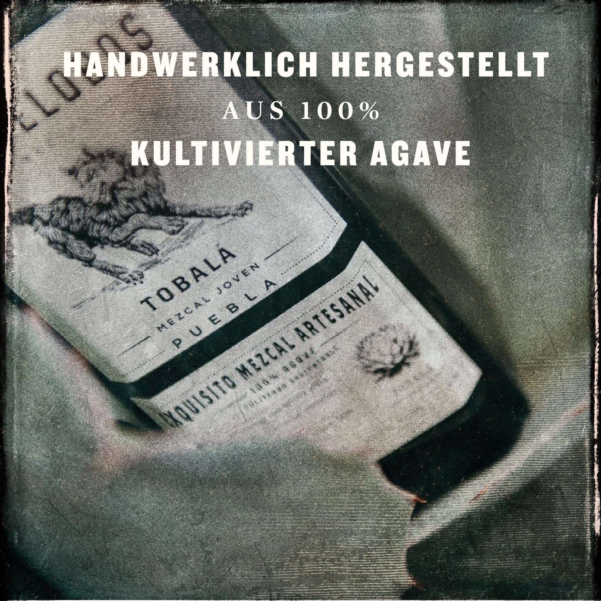 Montelobos Tobalá Mezcal – Premium Mezcal aus 100% Agave – Komplexer, ausgewogener Geschmack mit feinen Raucharomen – 1x 0,7L