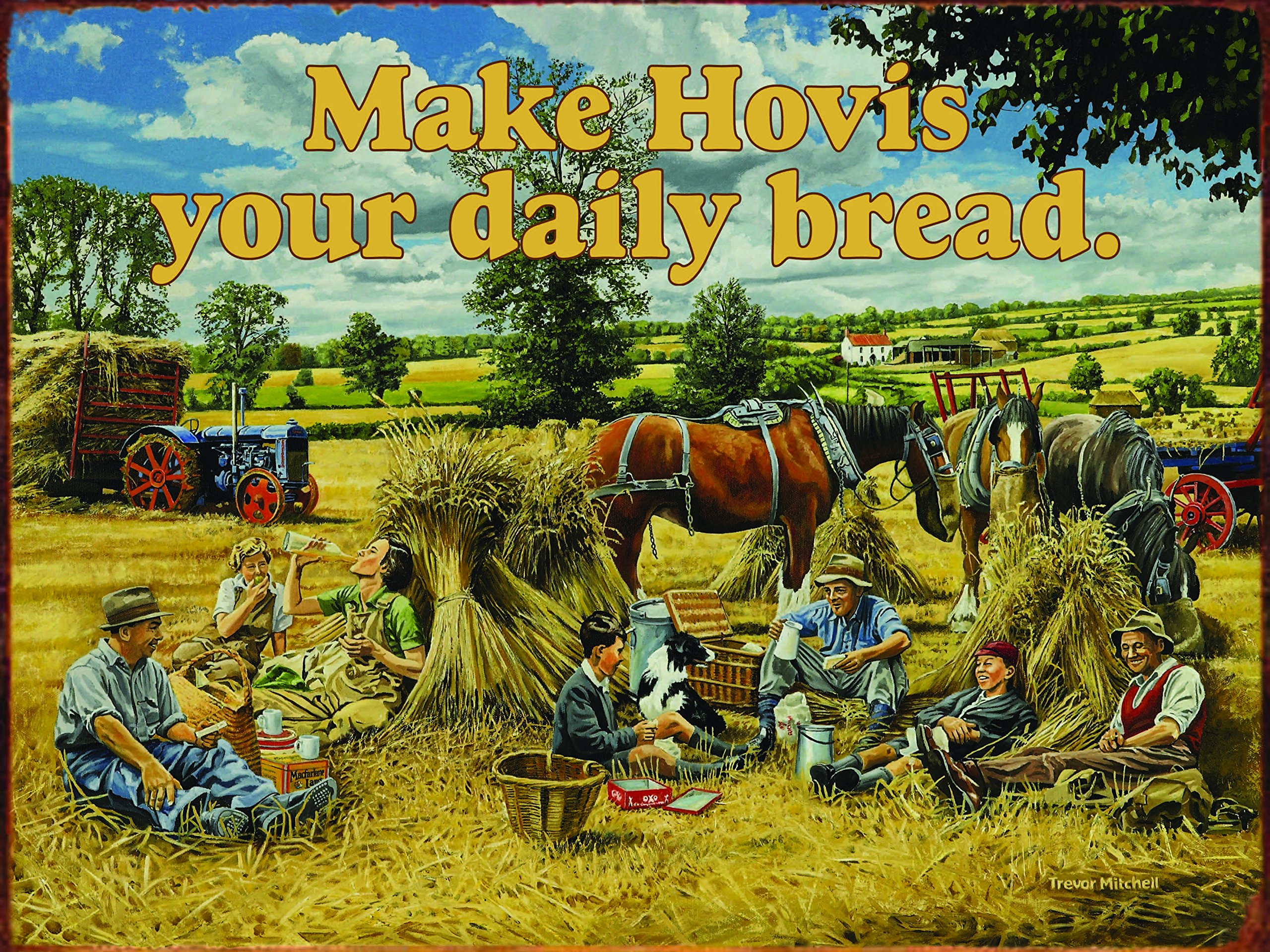 Metal Sign Original Trevor Mitchell HOVIS – 15 x 20 cm