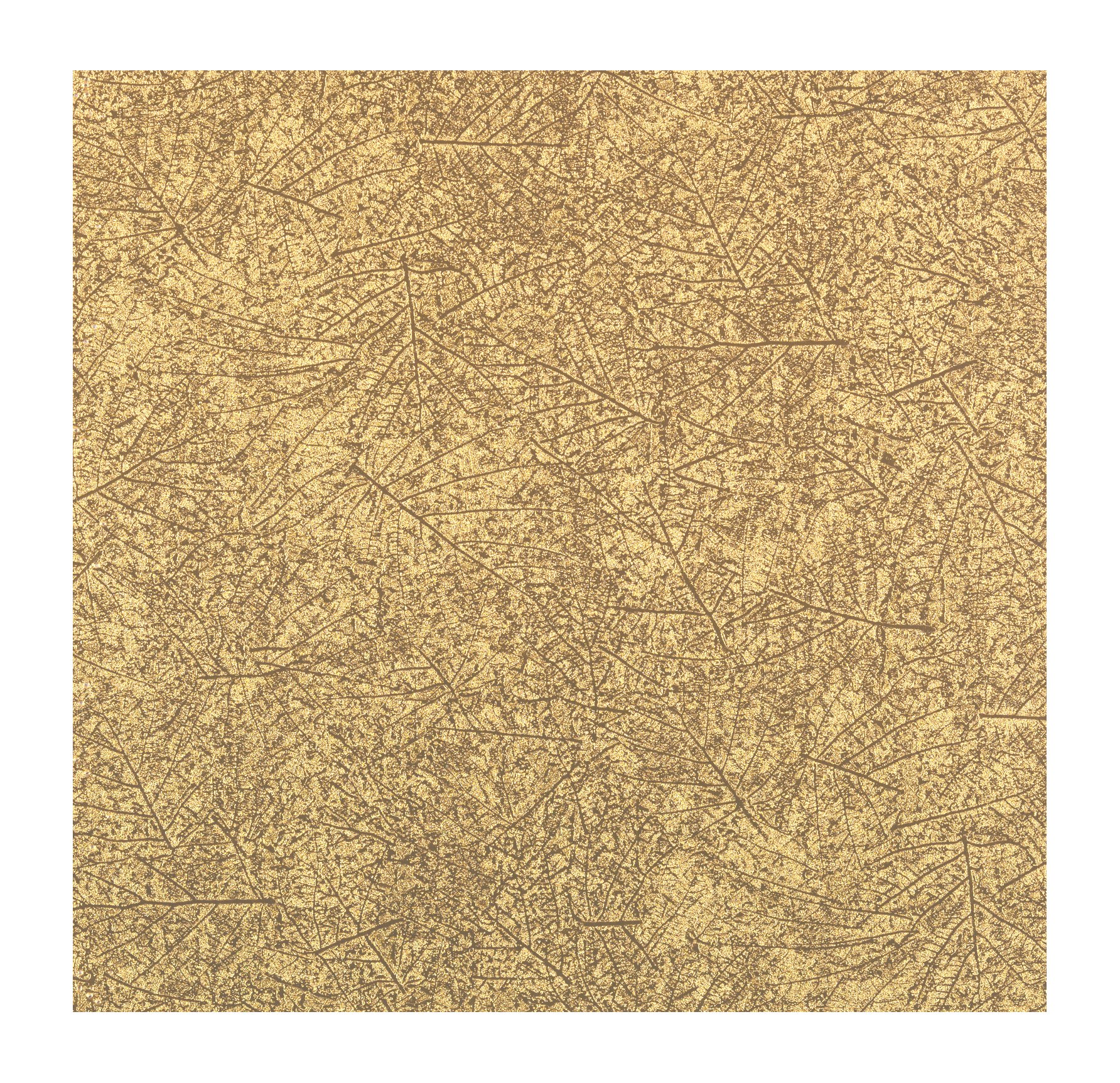Papier peint York Yarrow Stem à motif végétal pour moderniser votre chambre