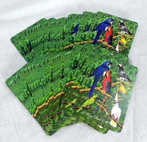 Miniatura 2 de Mejores amigos de Ruth Maystead Bird Art Poker naipes, loro, cacatúa, guacamayo