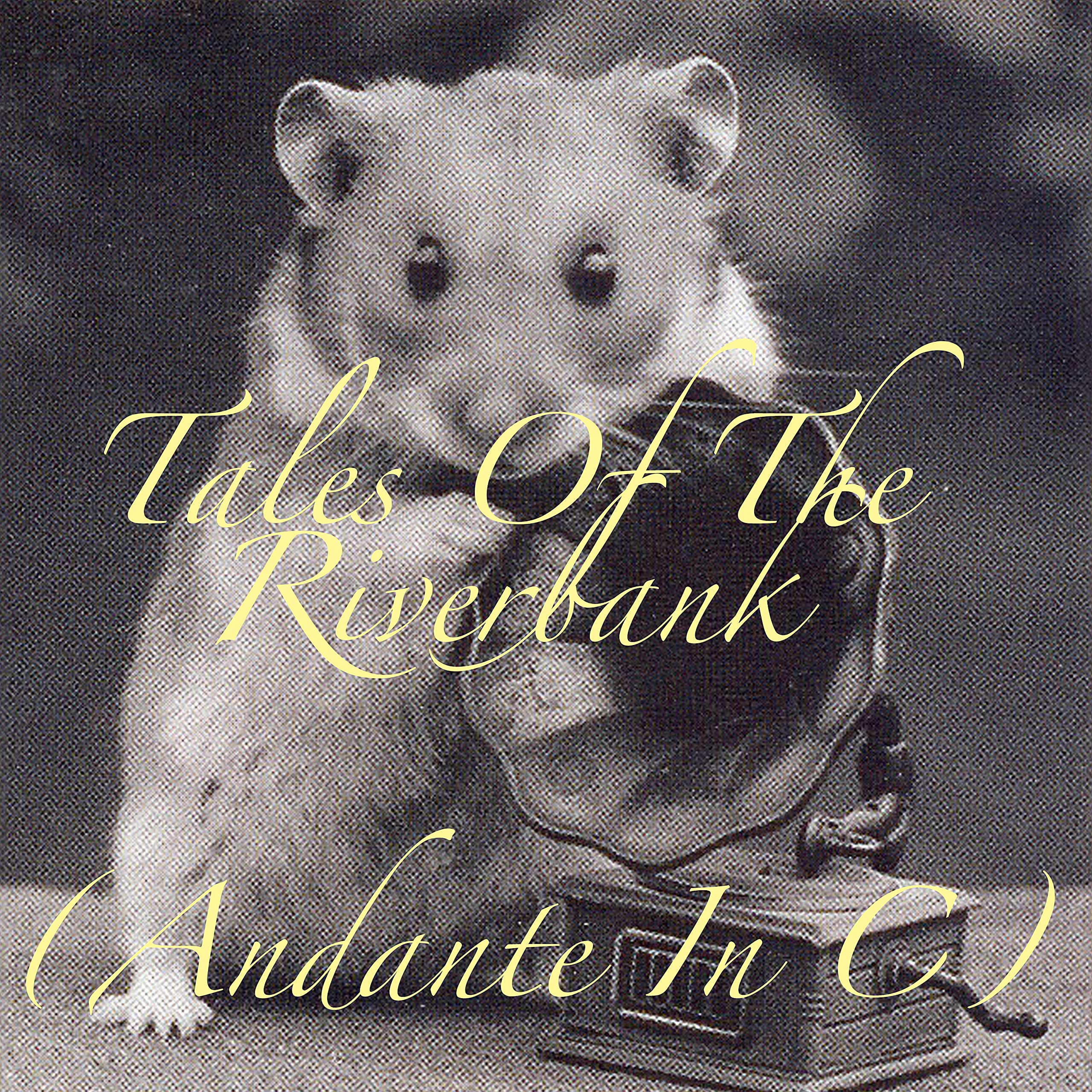 Dario Rossetti Bonell