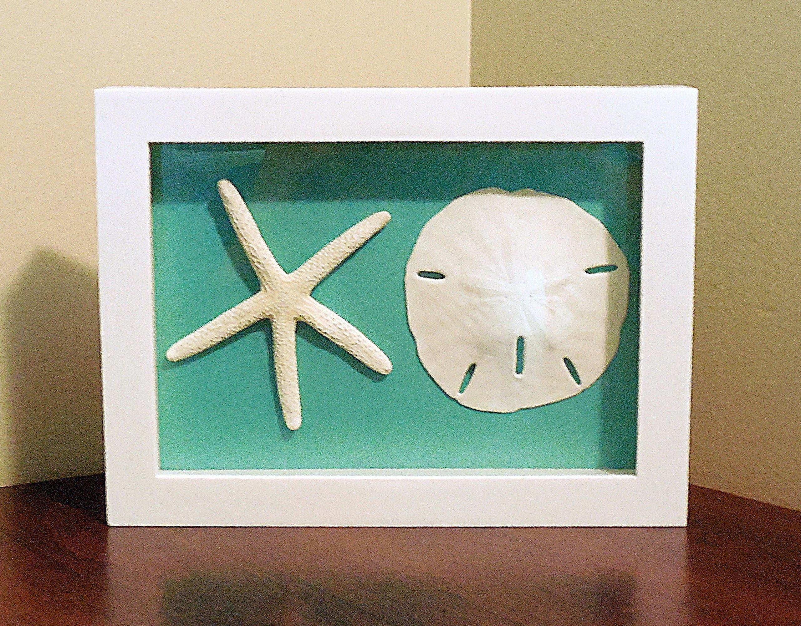 Sand Dollar and Starfish Shadow Box, Glass Enclosed, Many Background Colors, Ready to Hang (1, Aqua)