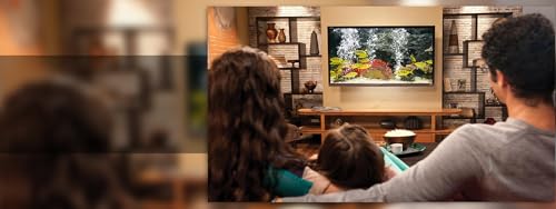aquário pacífico gratuito HD - decore seu quarto com um belo aquário de vida marinha na sua TV HDR 4