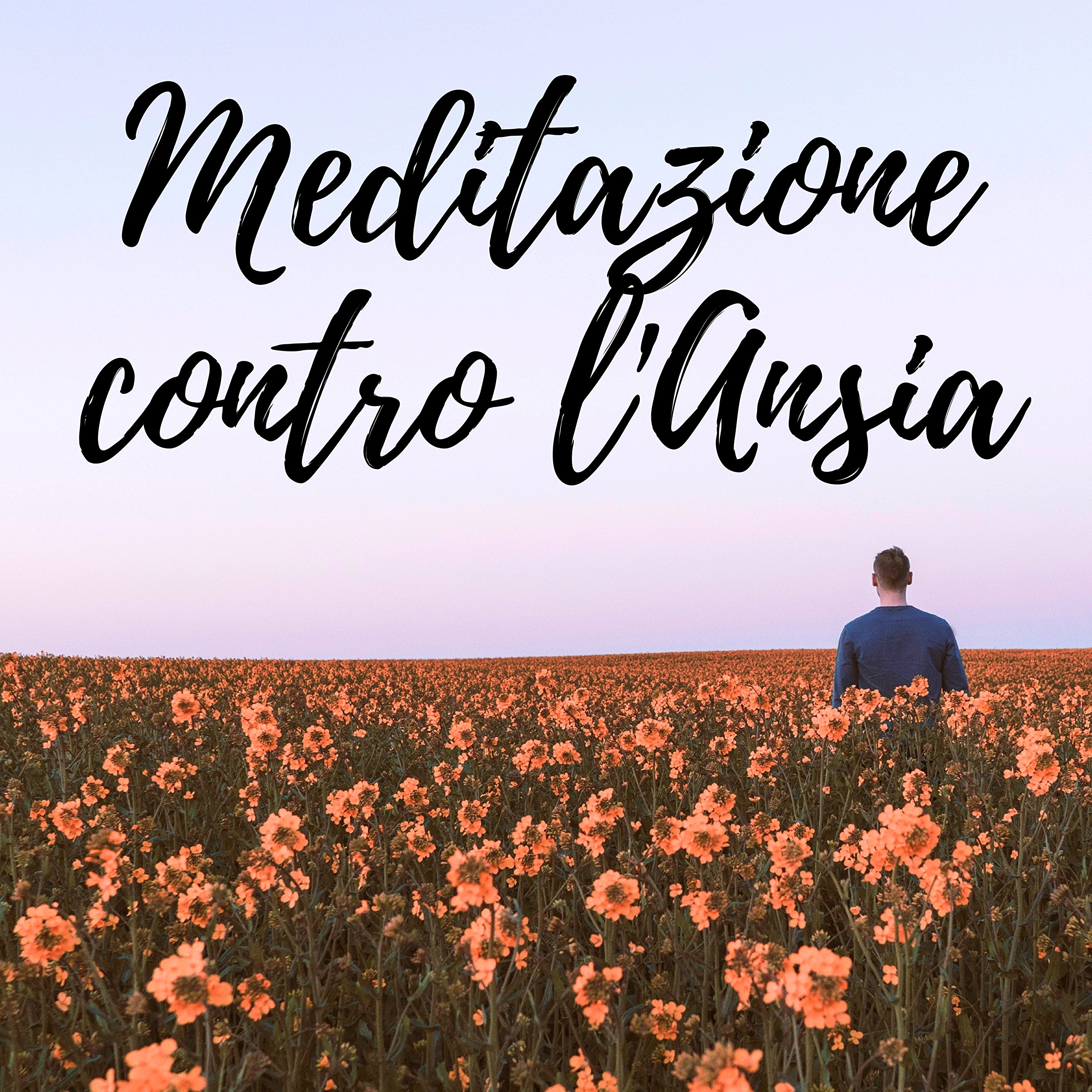 Pura Meditazione Stress
