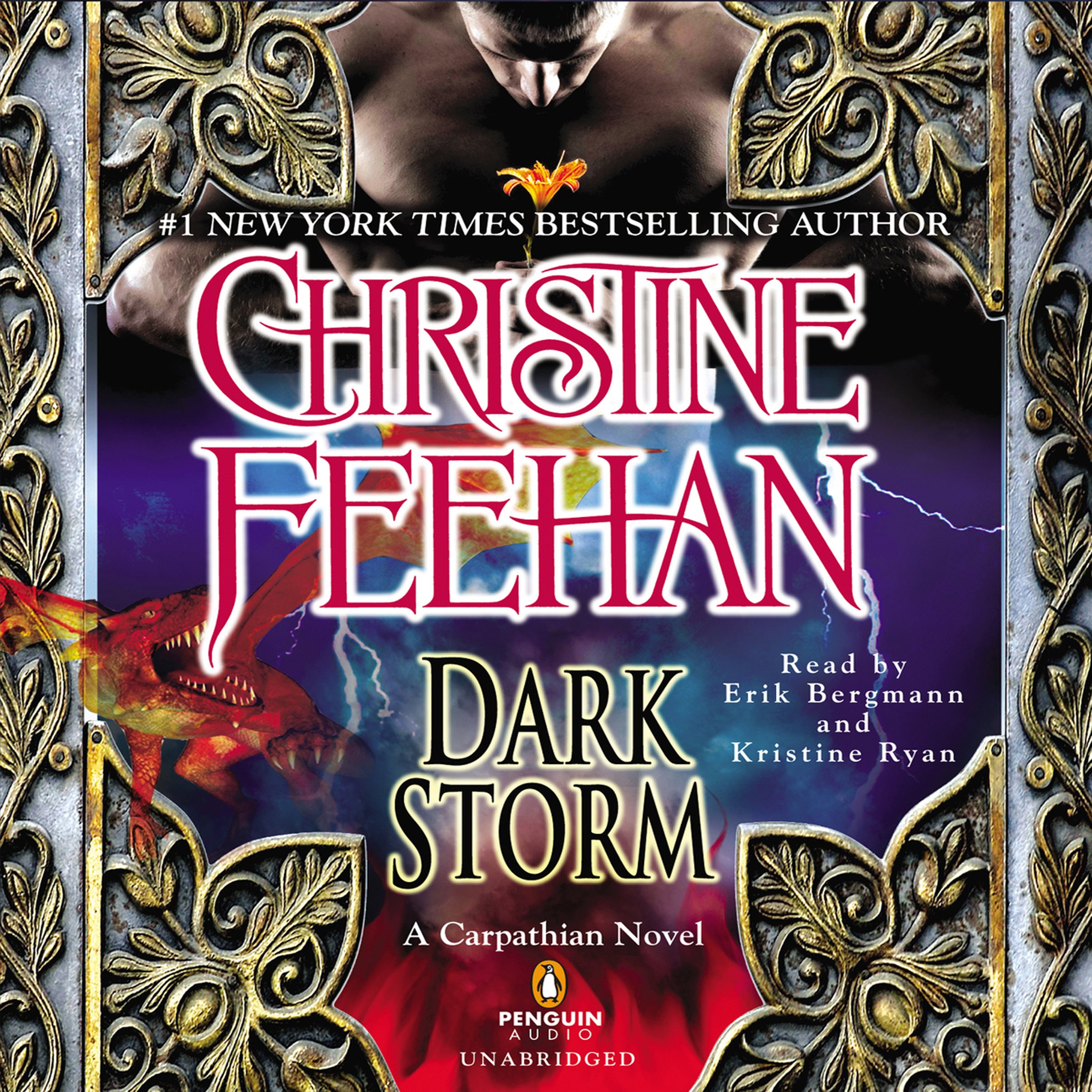 Cover art for Dark Storm