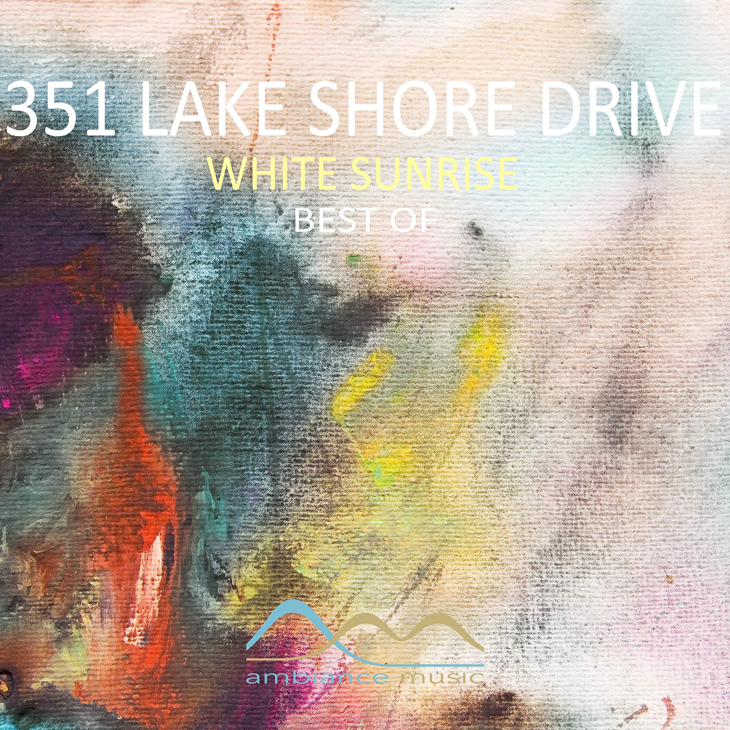 351 Lake Shore Drive