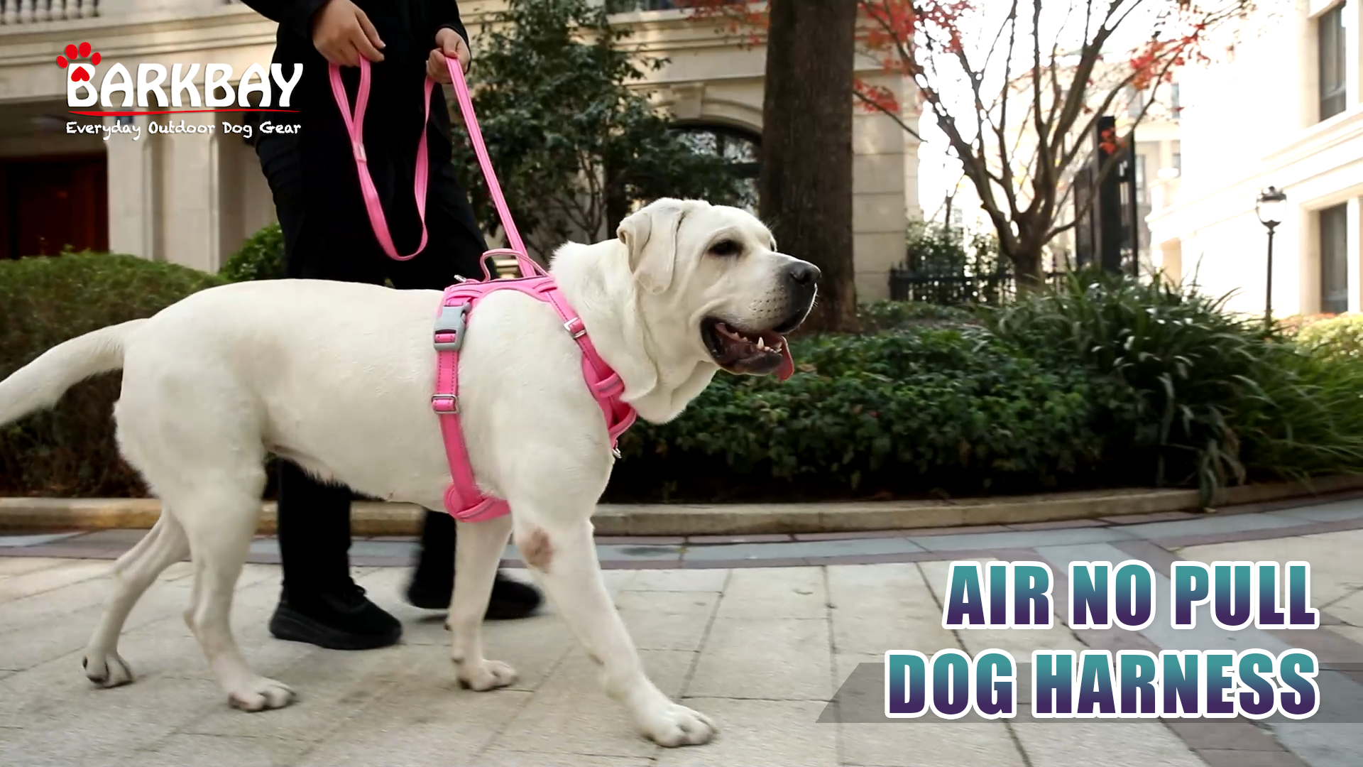 Amazon.com : BARKBAY No Pull Dog Harness Large Reflective Dog