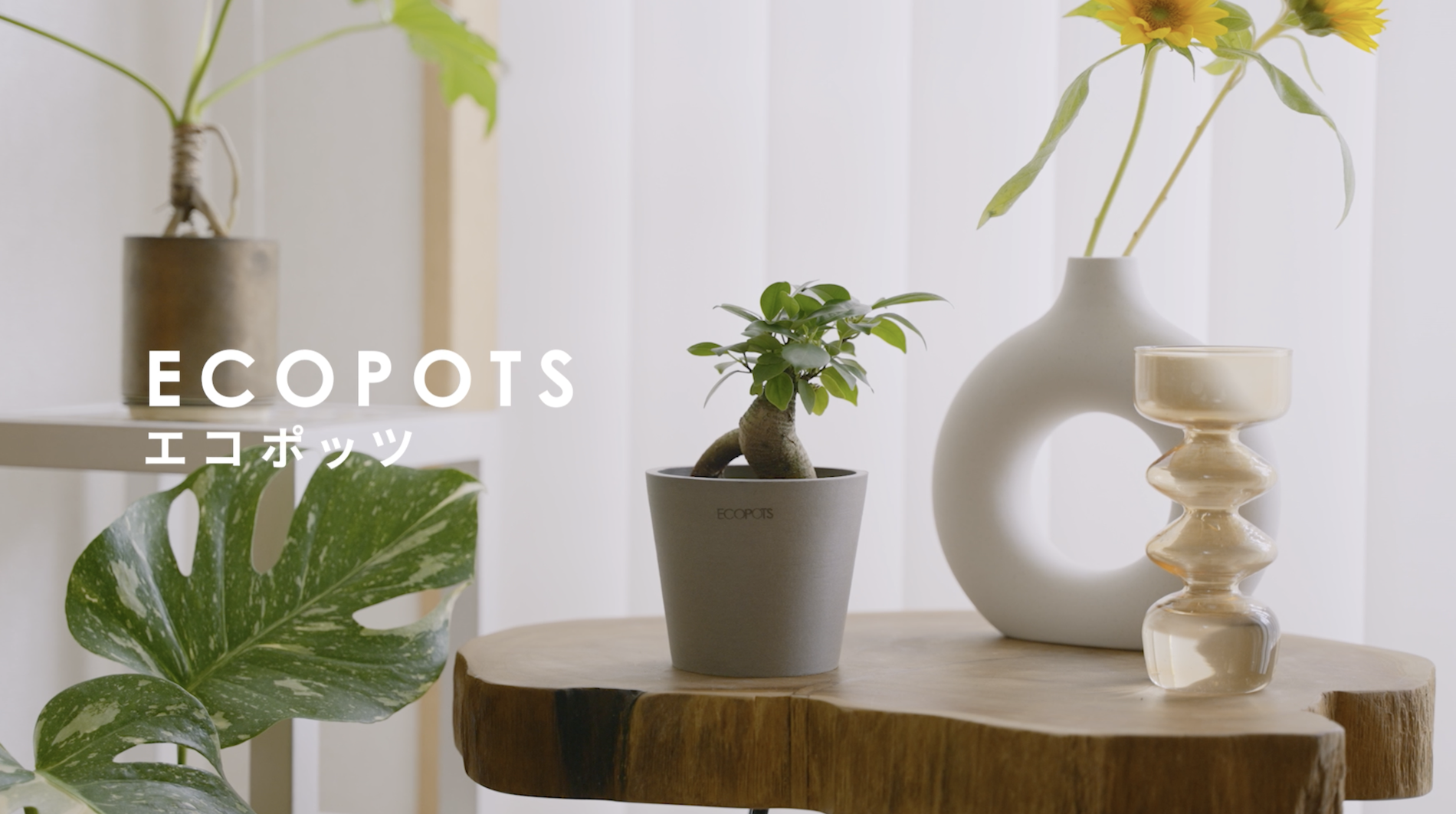 Amazon.co.jp: ECOPOTS Oslo 植木鉢 12号 おしゃれ 軽い 鉢 鉢カバー