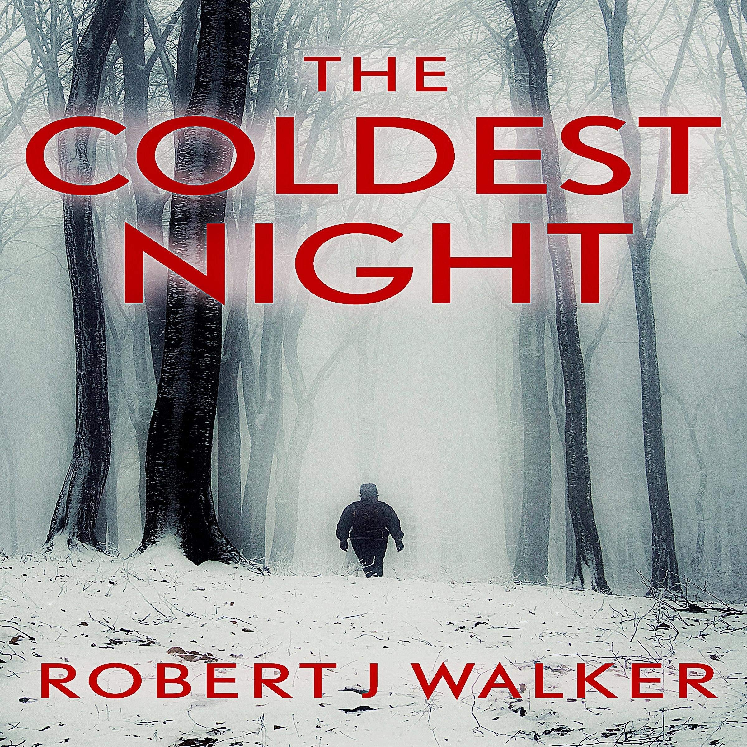 Cover art for The Coldest Night