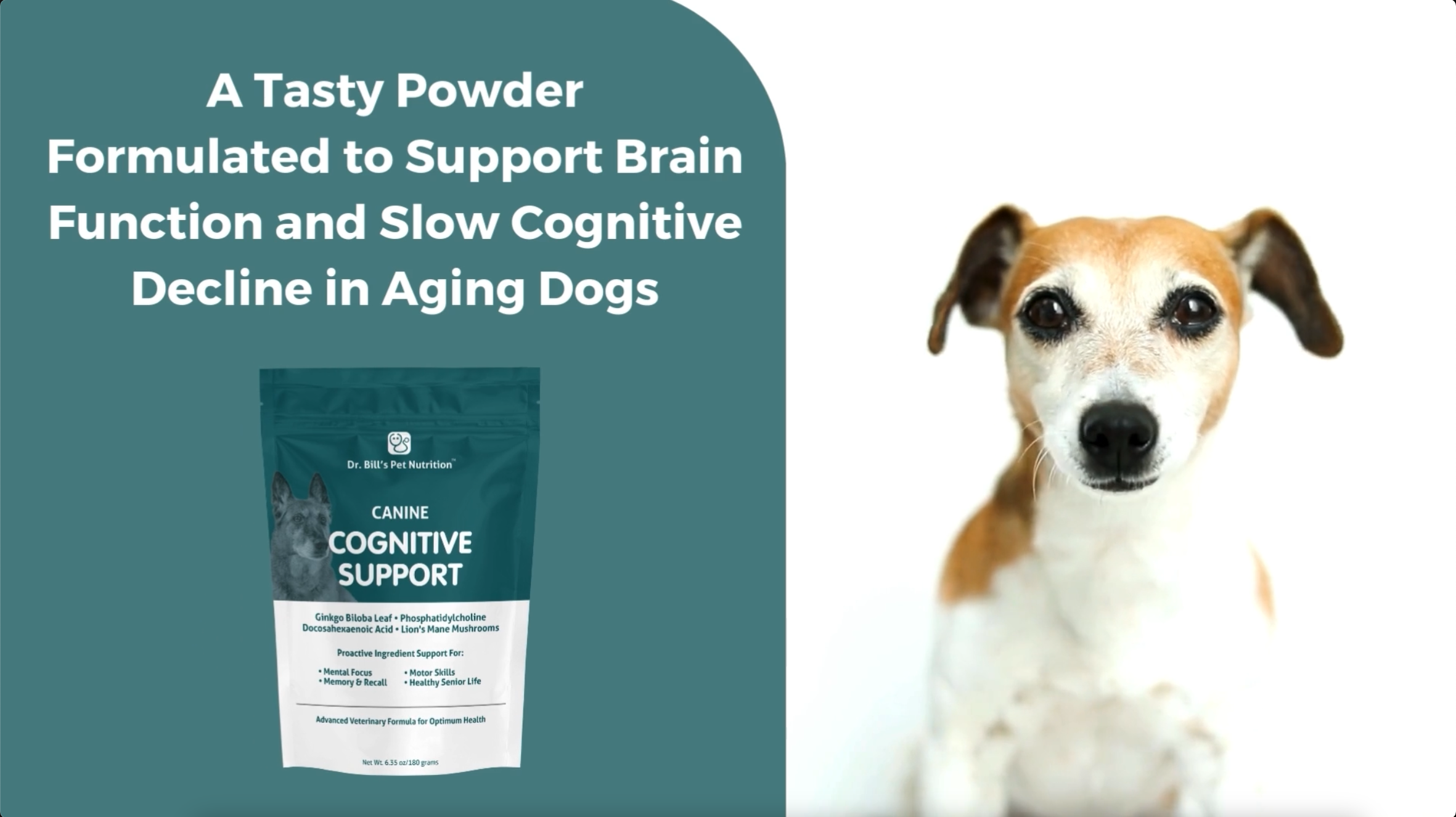 Dr. Bill's Canine Cognitive Support Supplement for Adult, Senior & Elderly Dogs – Memory, Brain Function & Cognitive Health Support