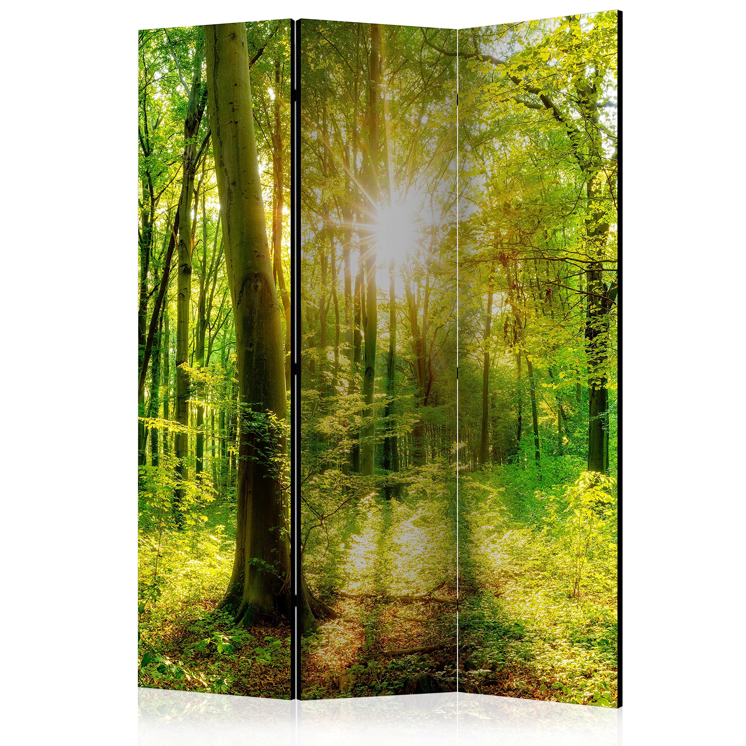 Paravent pliable double face 226 cm séparation pièce en toile opaque forêt
