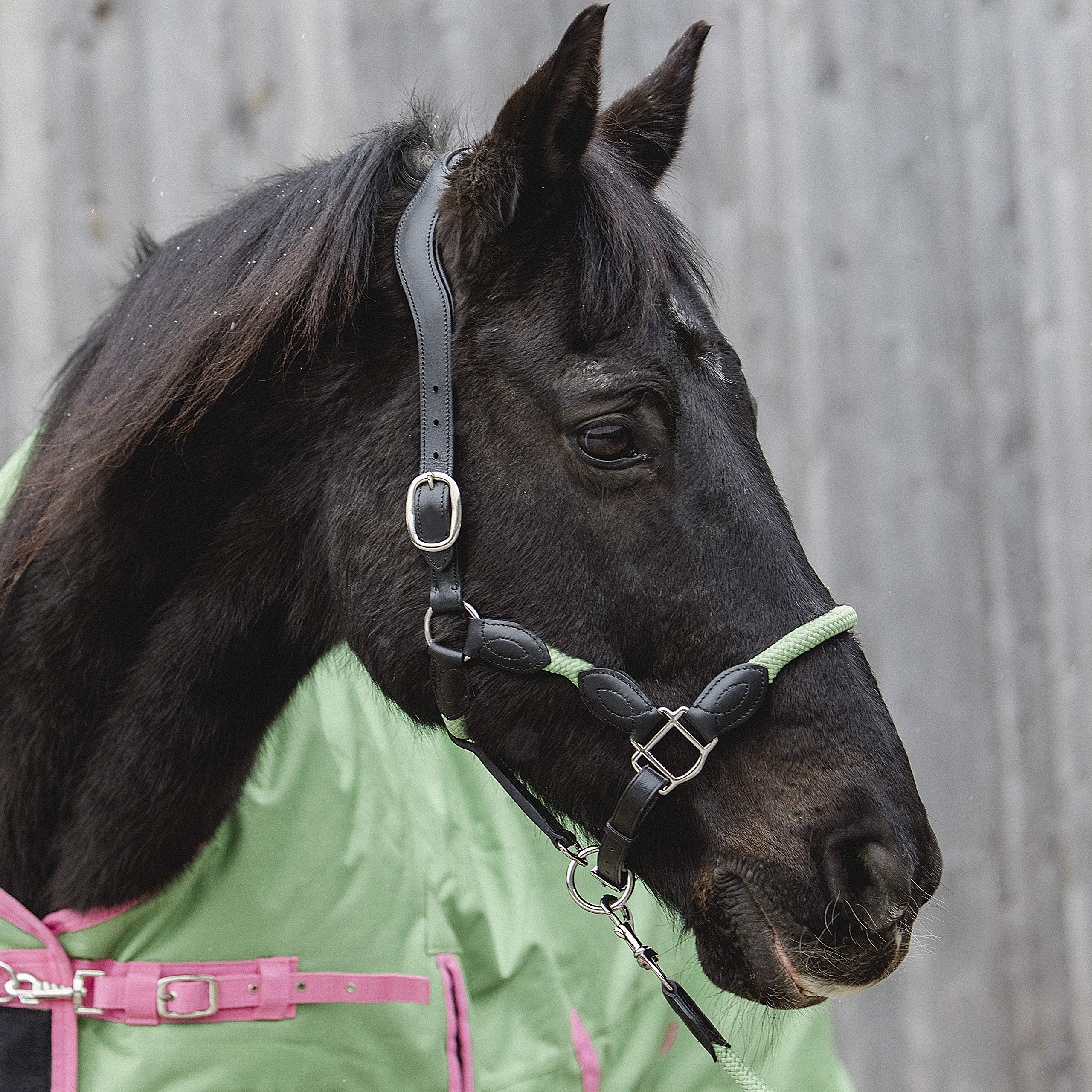indira Seil-Leder-Halfter pro Flex PP-Strick-Echtleder (Pony, Grün 01)