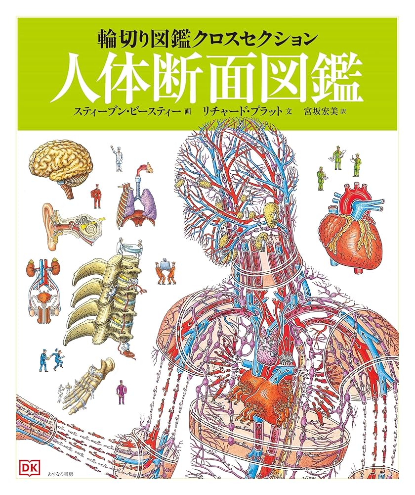 【帯あり】心の解剖学 : 錬金術的セラピー原論 アウトレット 価格本・雑誌・漫画 - 心の解剖学 : 錬金術的