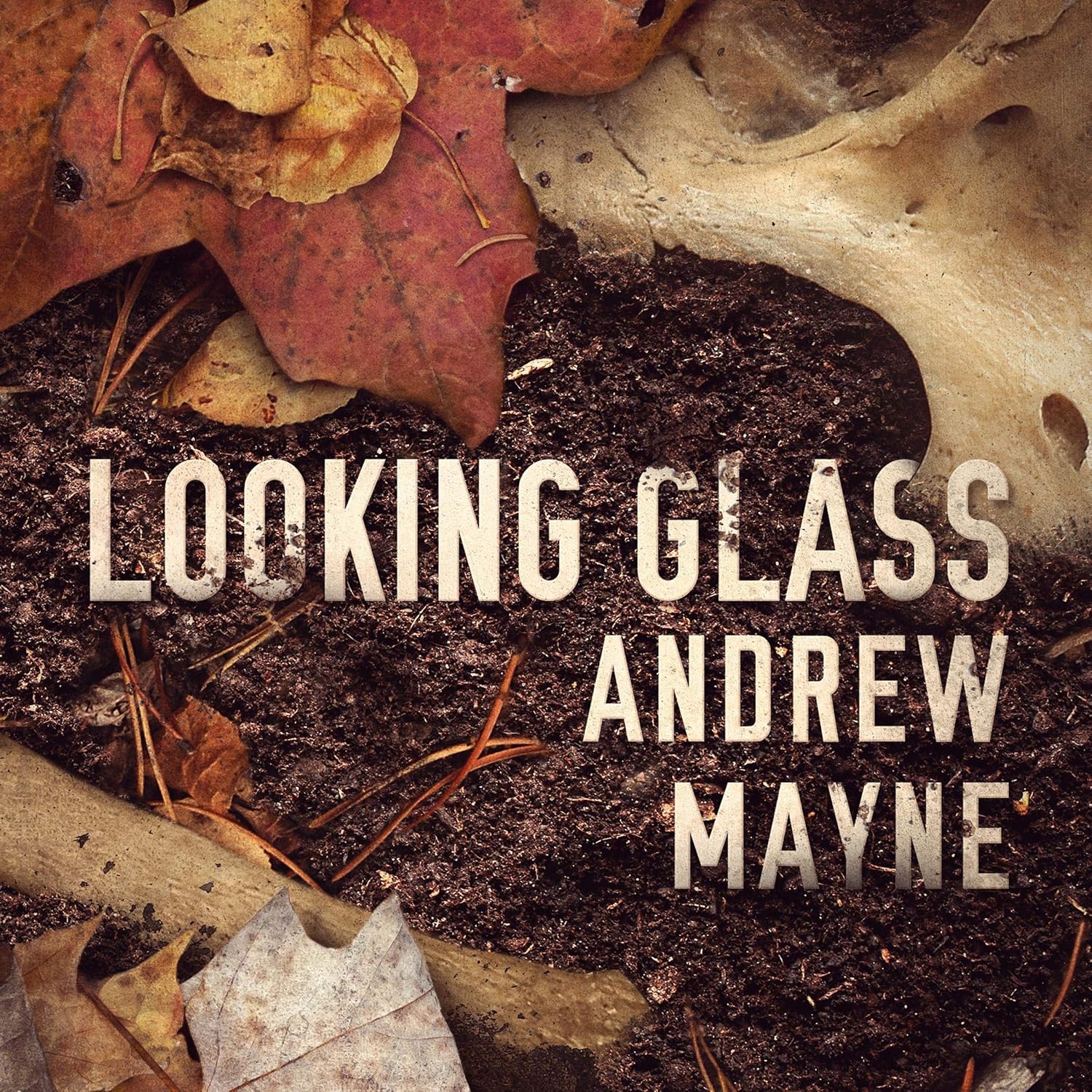 Andrew Mayne Looking Glass