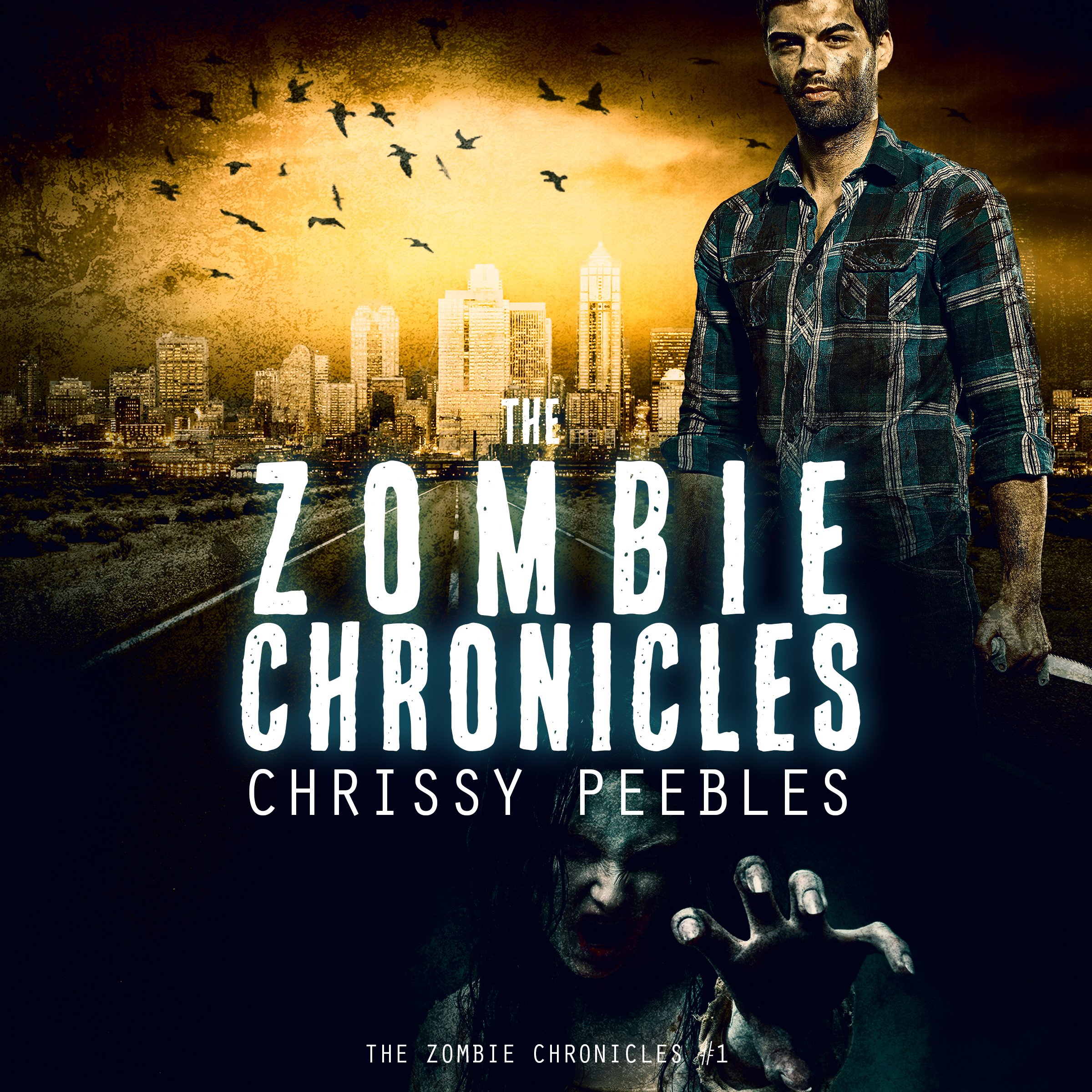 Cover art for The Zombie Chronicles: Apocalypse Infection Unleashed Series #1
