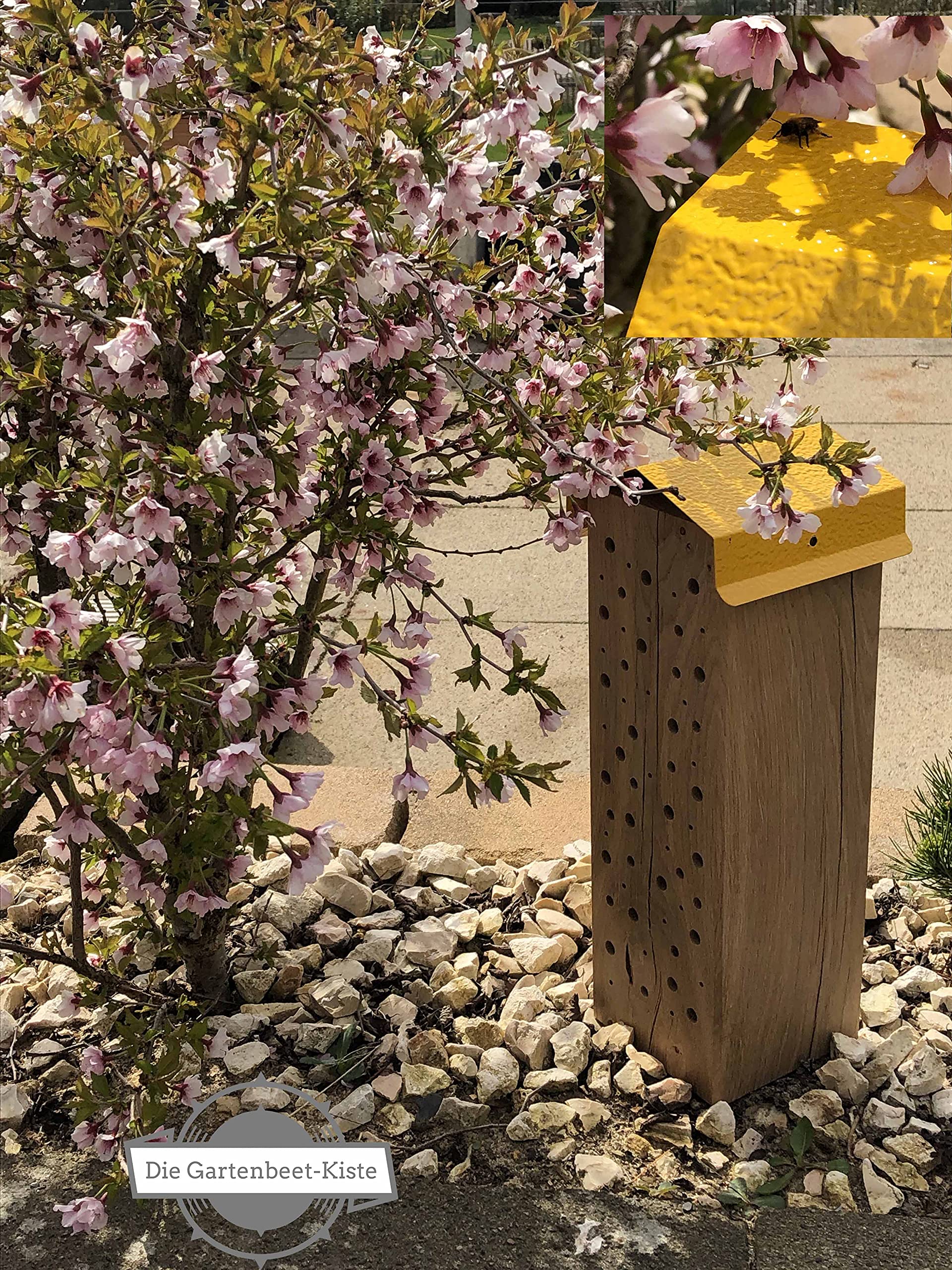 Bienenhotel Stamm Insektenhotel Wildbienen Eiche Massivholz Hartholz Wildbienenhotel Nisthilfe Bienen (Natur unbehandelt, 25 cm)