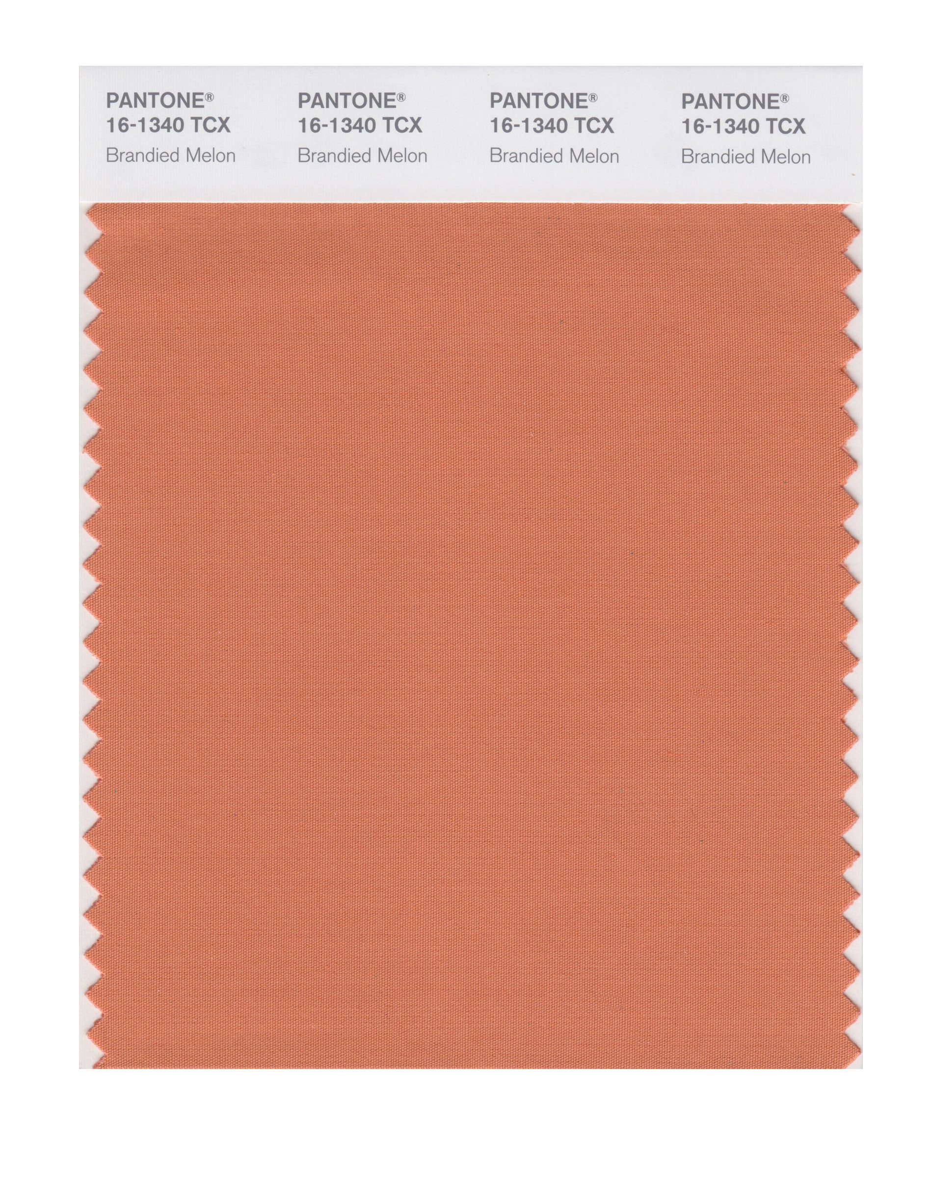 カラーパレット Amazon.com: PANTONE Smart 16-1340X Color Swatch Card, Brandied