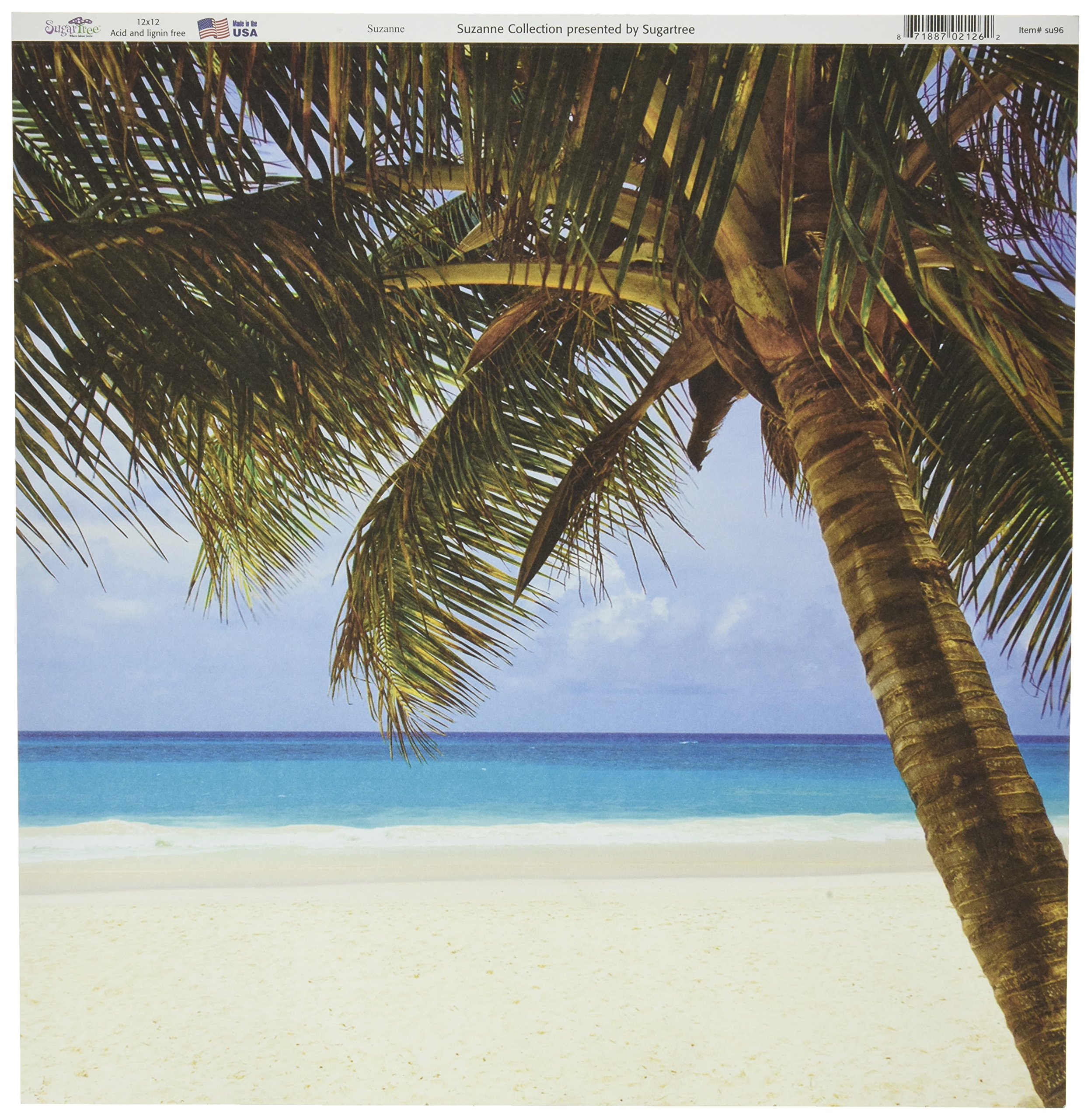SUGAR TREE Papers 12"X12"-Palms & Beach 25 per Pack