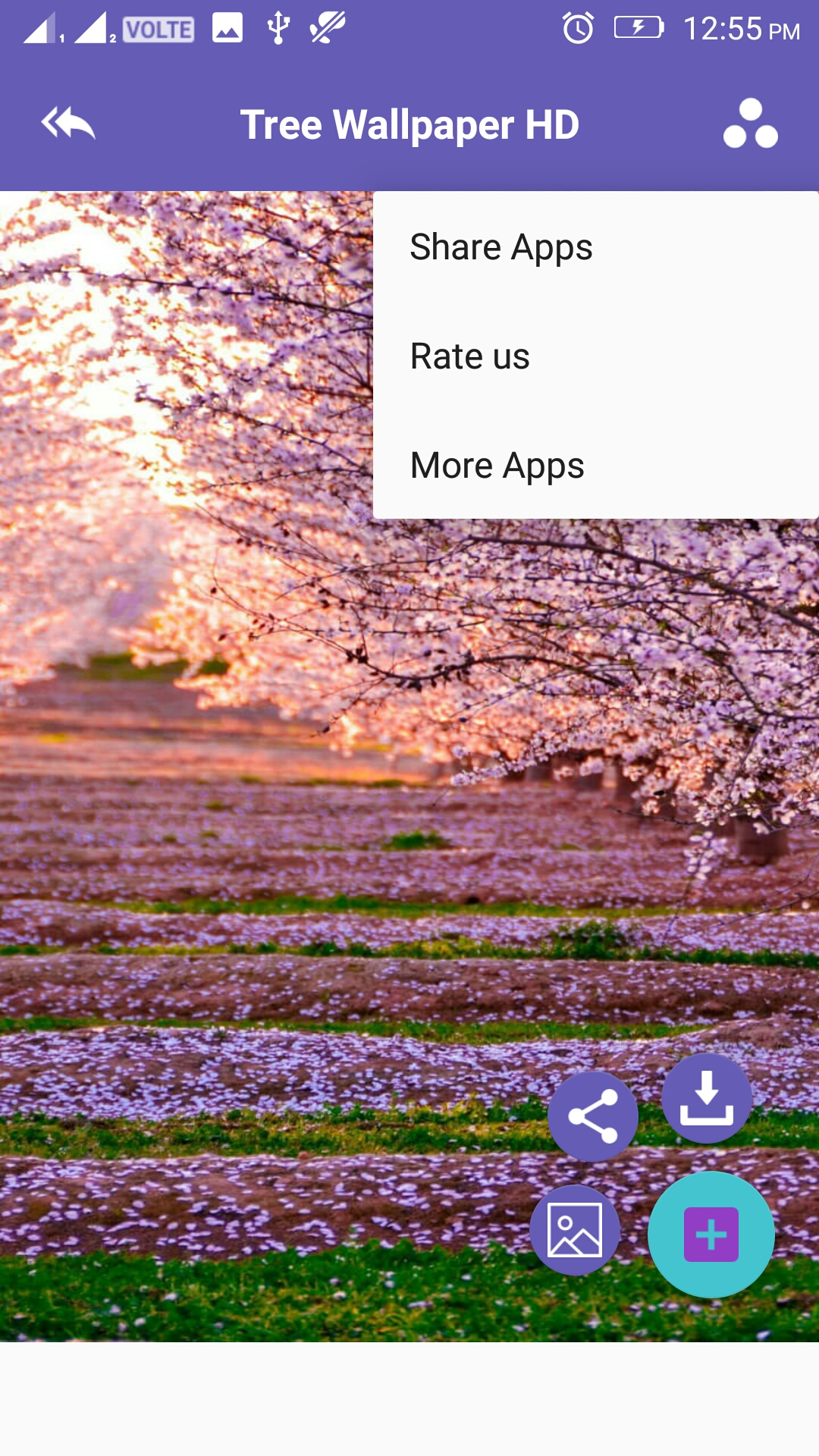 Tree 4K Wallpaper - App on Amazon Appstore