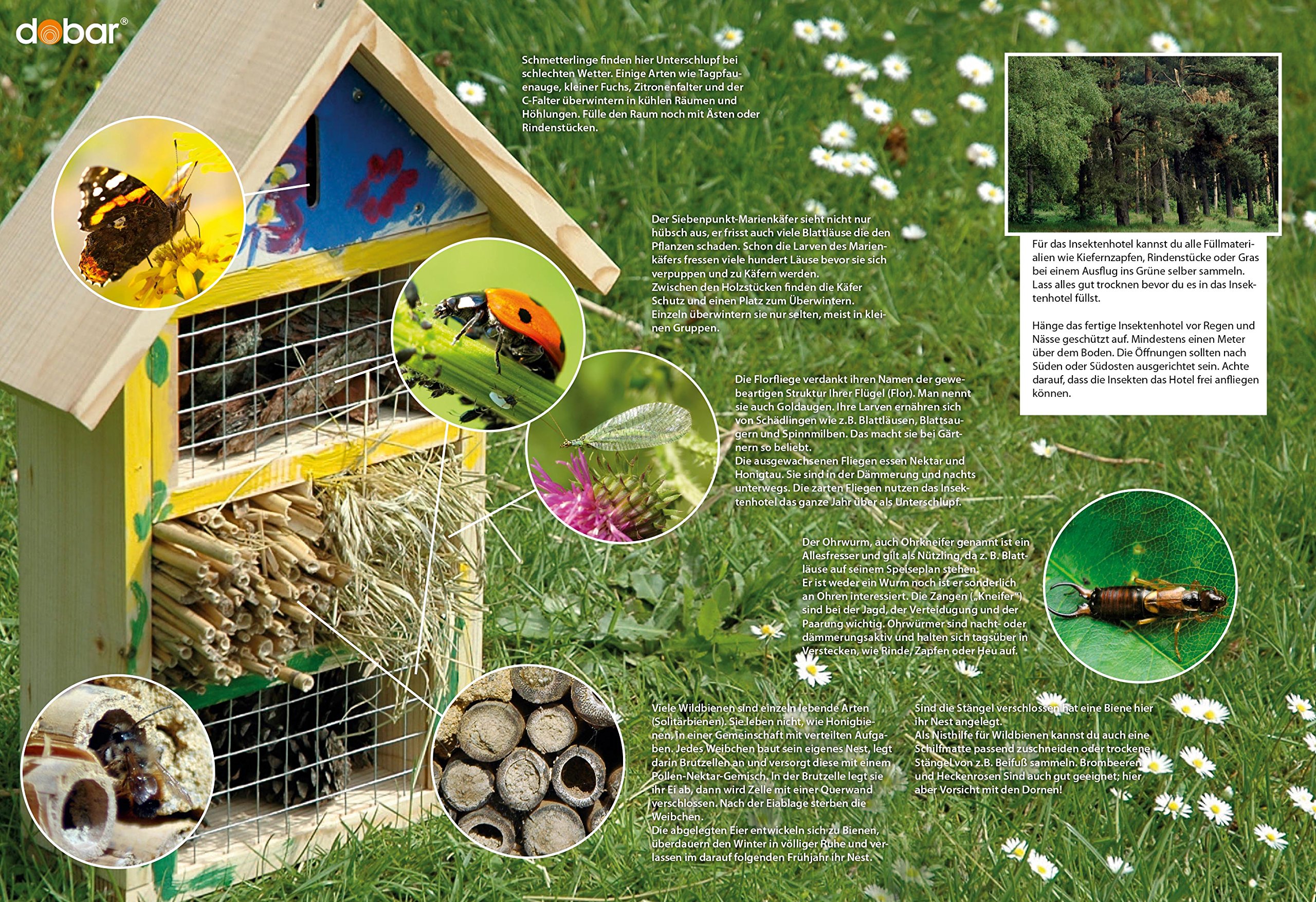dobar® 22608FSC Insektenhotel Bastel-Set - Wildbienenhotel zum Bemalen und Selberbauen - Insektenhotel Holz - Bienenhaus für solitäre Wildbienen - Nisthilfe für Insekten - 34 x 12 x 45 cm - Bunt