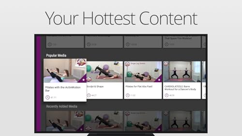 Pilates on Fifth Online