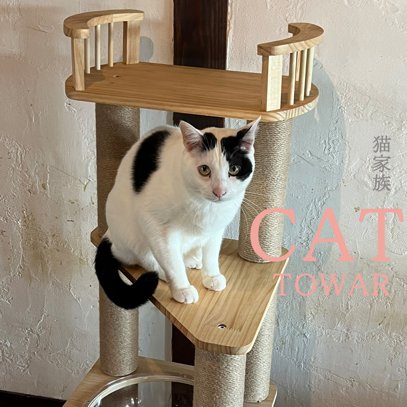 Amazon | 猫家族 キャットタワー 木製 天然木シリーズ スリム 省